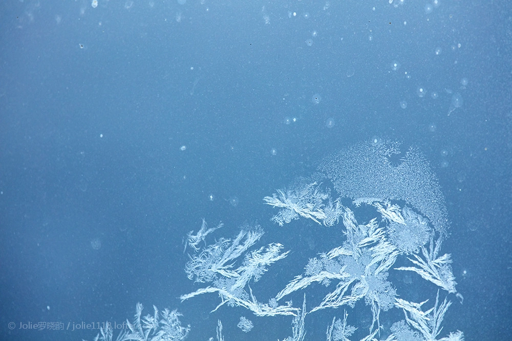 Canon EF 100-400mm F4.5-5.6L IS USM sample photo.  羽毛从雪平面挣脱 组成翅膀化成飞鸟 繁星从天空中降落 热闹了孤寂的寒冬 生如冰花蔓延绽放 飘落单单... photography