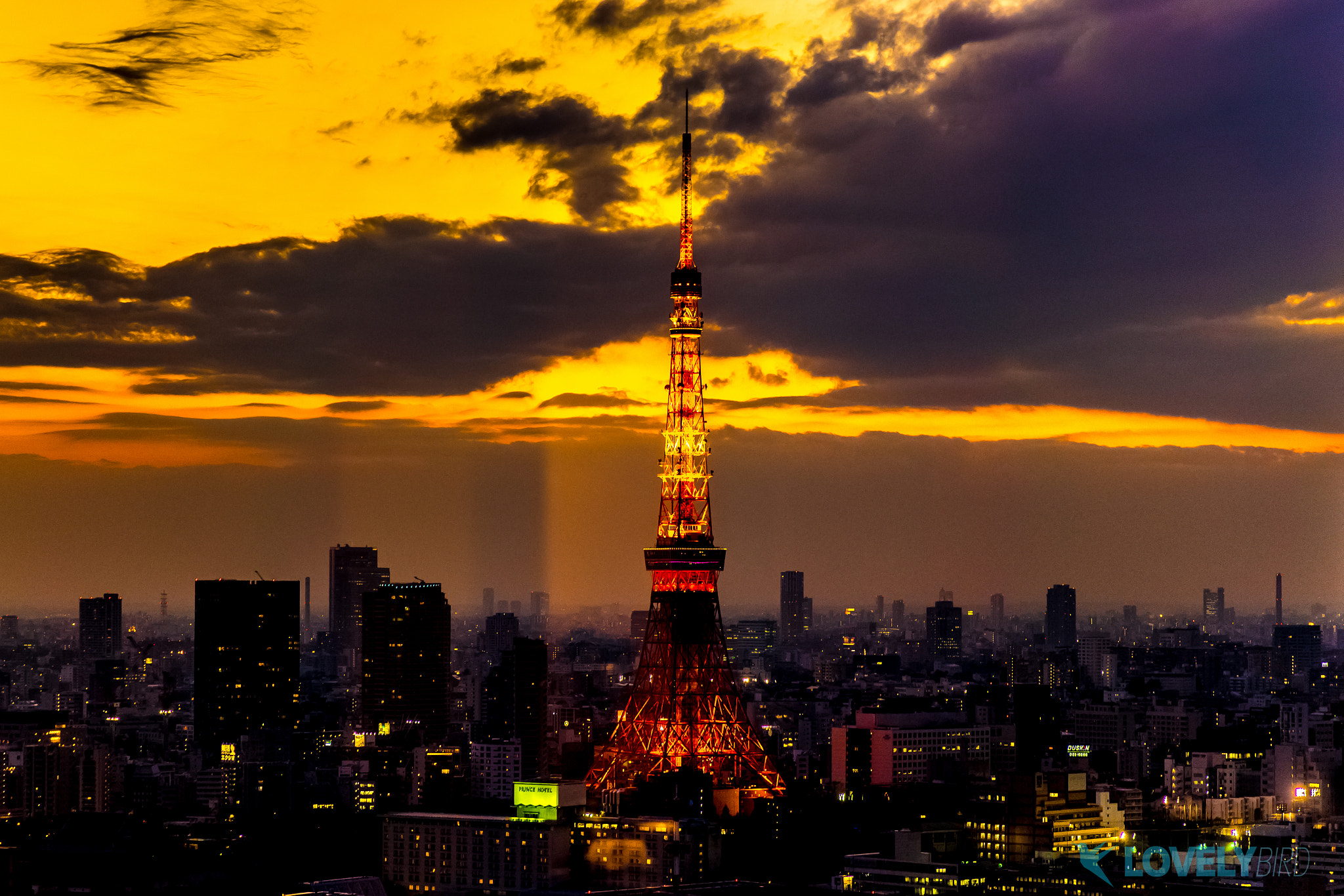FE 24-71mm F2.8-8 ZA sample photo. Tokyo tower photography