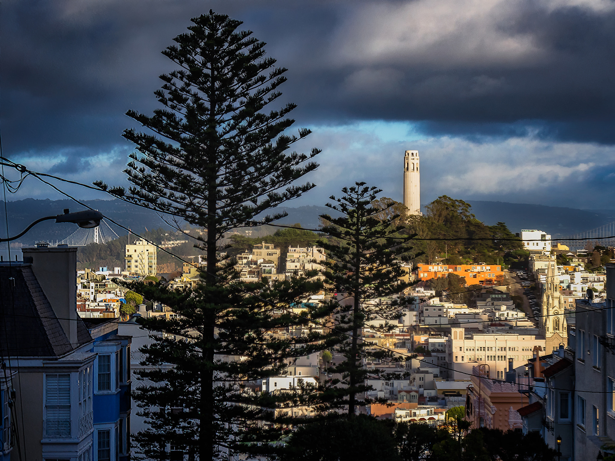 Olympus PEN E-PL5 sample photo. Sf telegraph hill photography