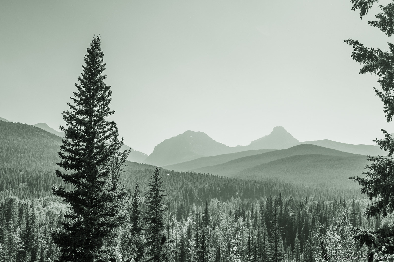 AF Zoom-Nikkor 28-70mm f/3.5-4.5D sample photo. Moody mountains photography