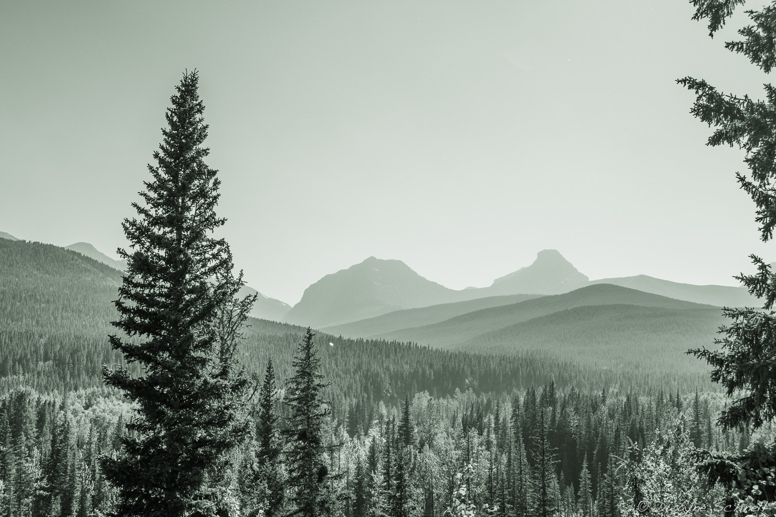 Nikon D610 + AF Zoom-Nikkor 28-70mm f/3.5-4.5D sample photo. Moody mountains photography