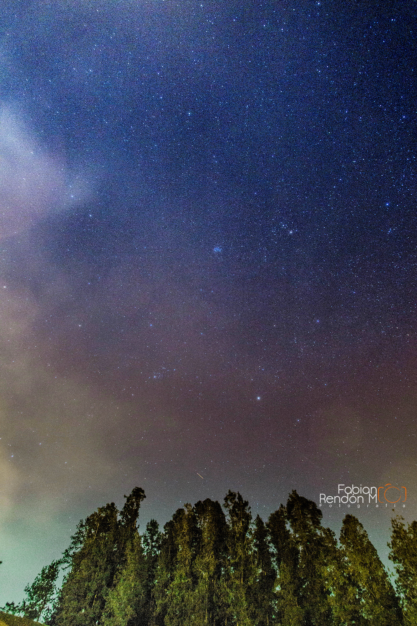 Canon EF-S 10-22mm F3.5-4.5 USM sample photo. Bajo los árboles photography