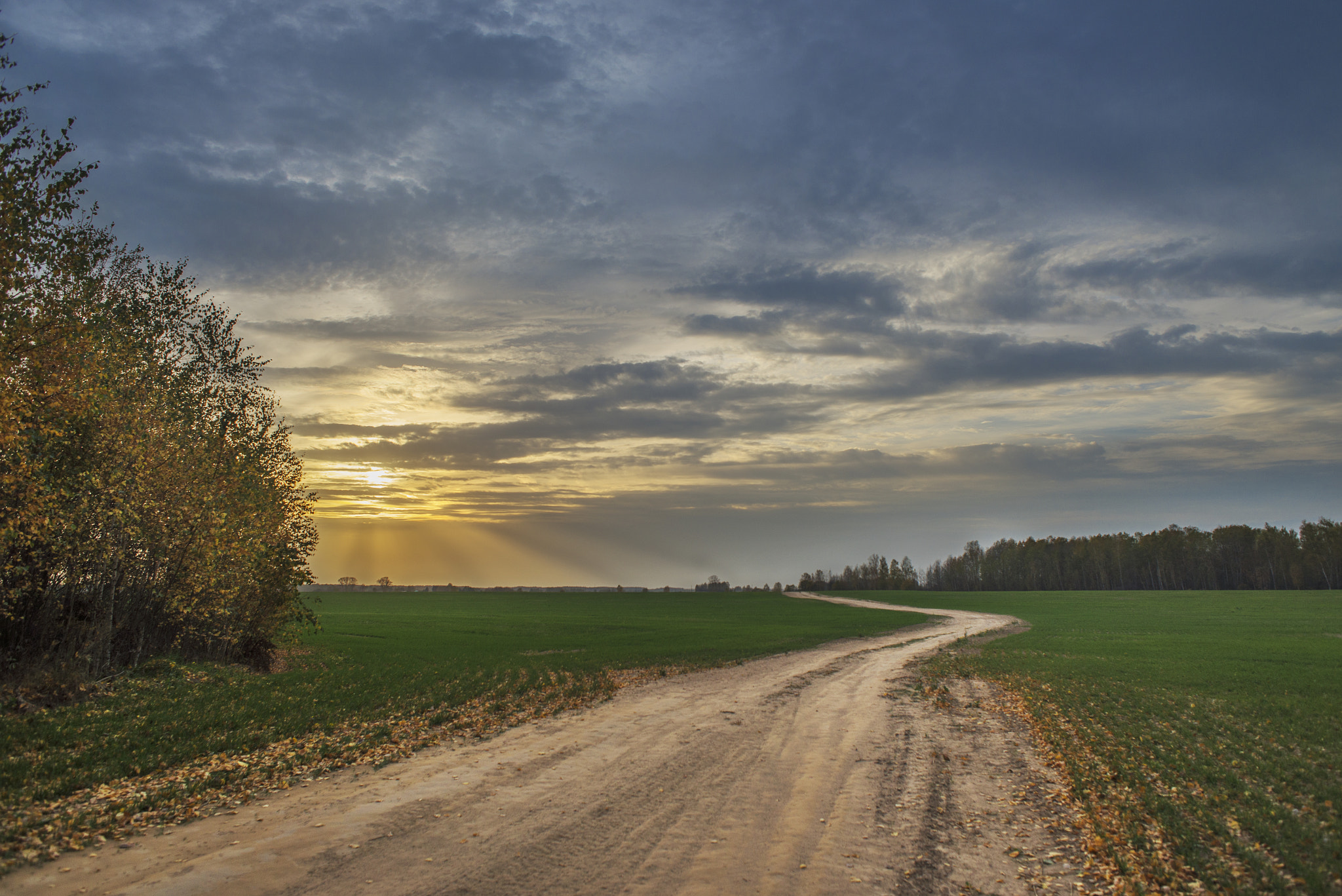 Nikon D600 + AF Nikkor 24mm f/2.8 sample photo. дорога photography