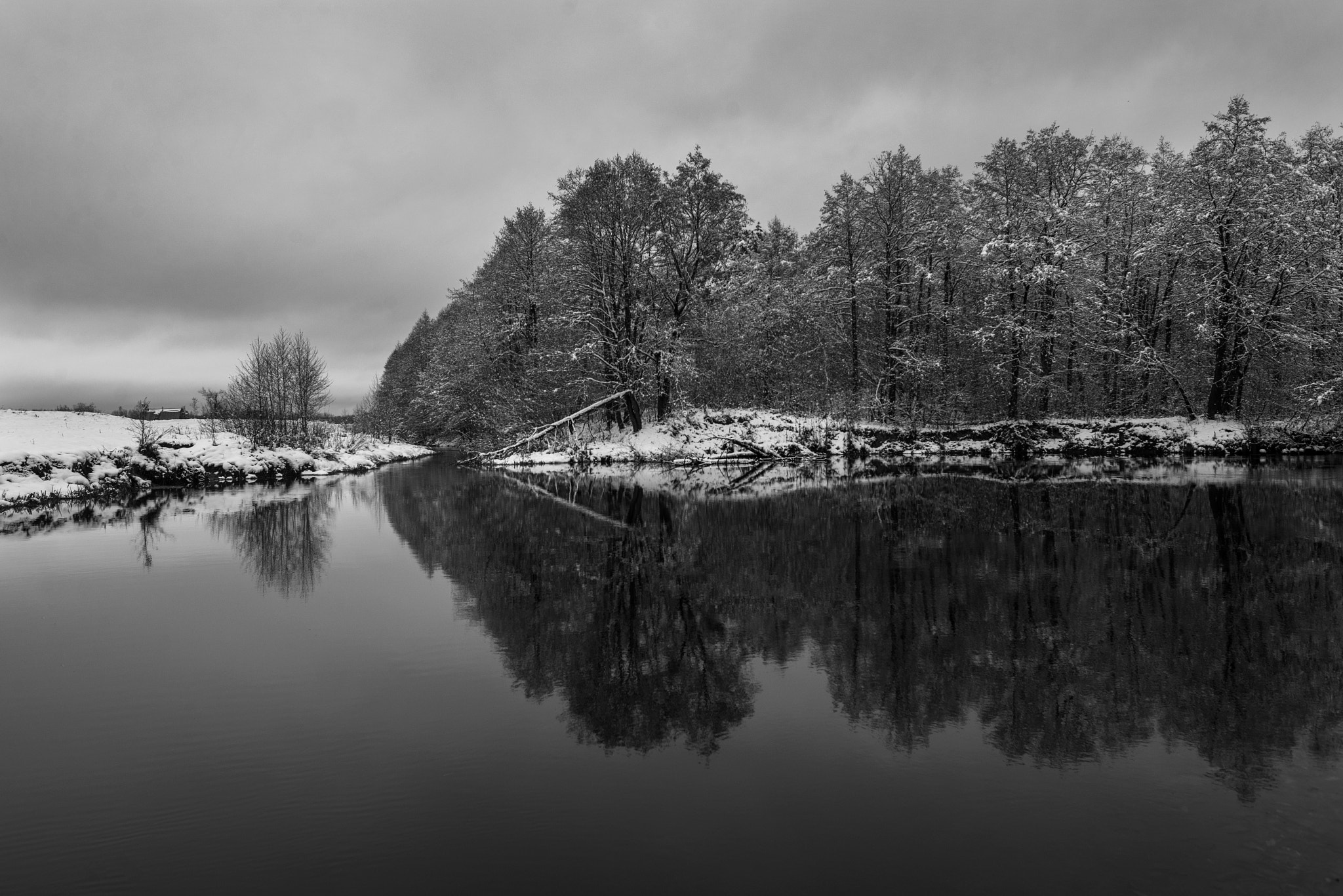 Nikon D600 + AF Nikkor 24mm f/2.8 sample photo. отражение photography