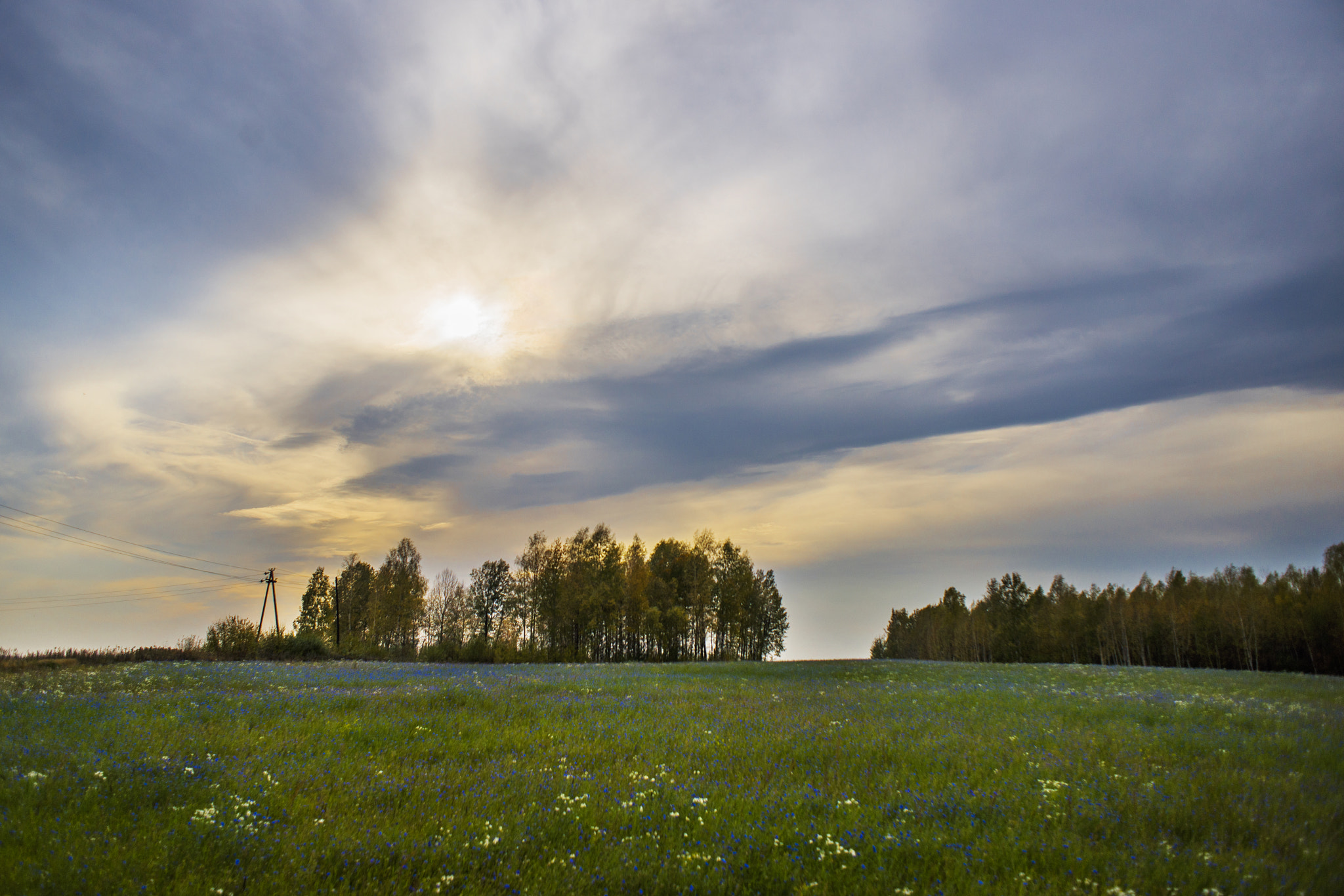 AF Nikkor 24mm f/2.8 sample photo. Поле photography