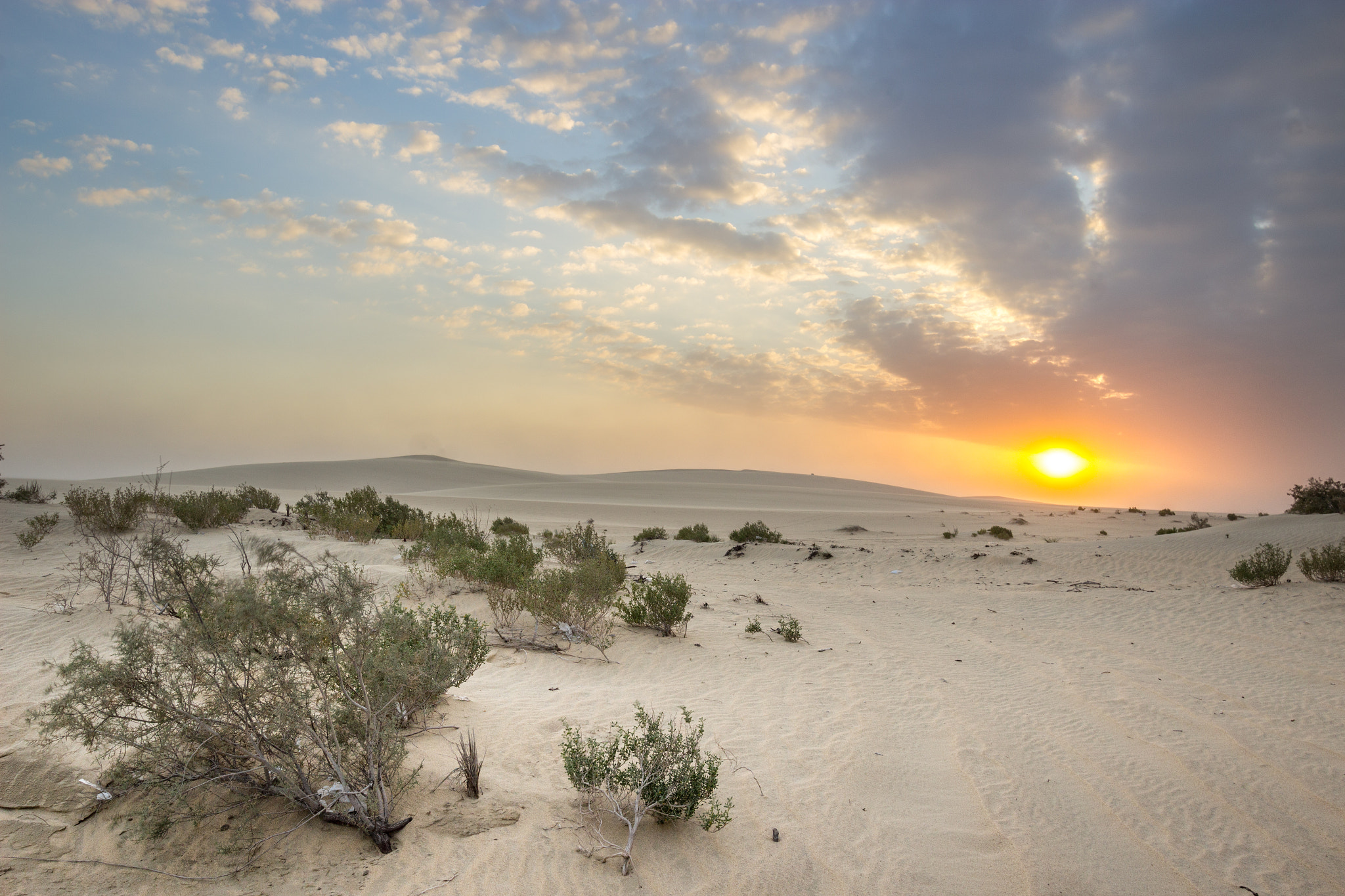 Canon EF-S 10-22mm F3.5-4.5 USM sample photo. غروب الشمس في البر photography