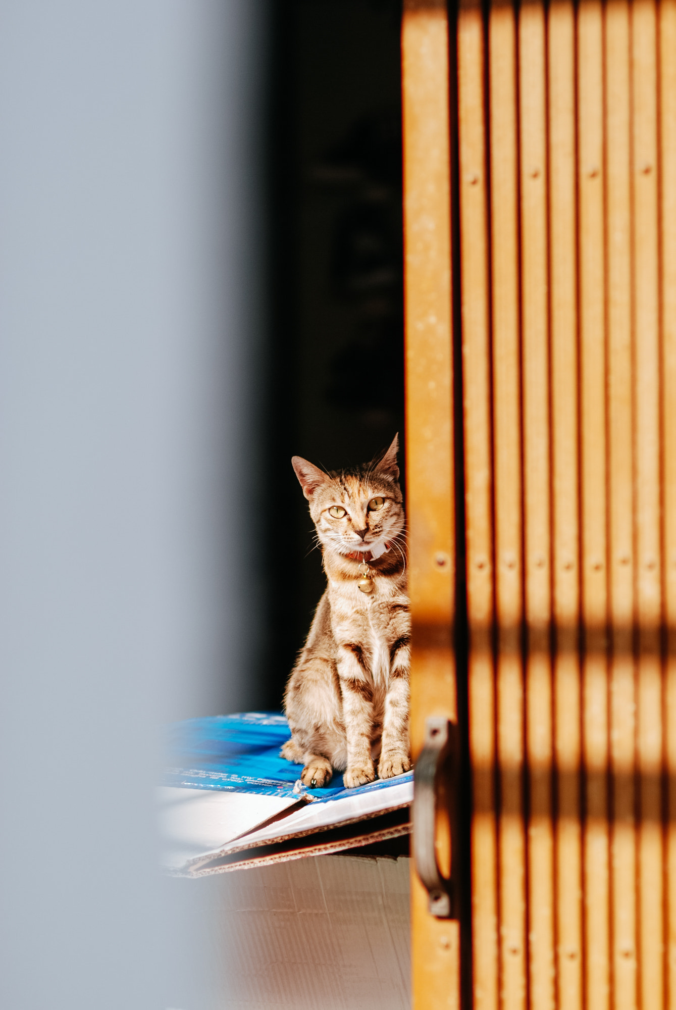 Nikon D80 + Nikon AF Nikkor 85mm F1.8D sample photo. 汕头老城吃货暴走 photography
