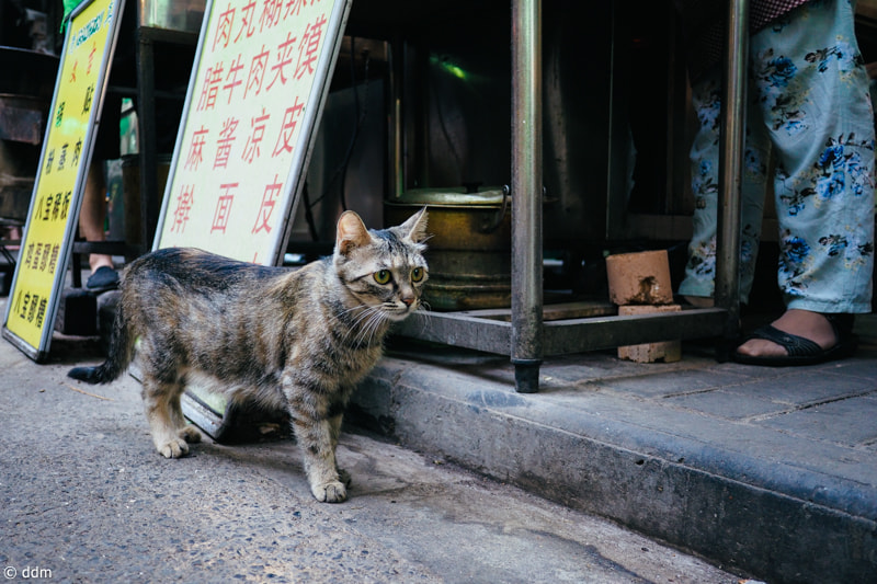 Olympus OM-D E-M10 + Panasonic Lumix G 14mm F2.5 ASPH sample photo. Streets in xi'an，china photography