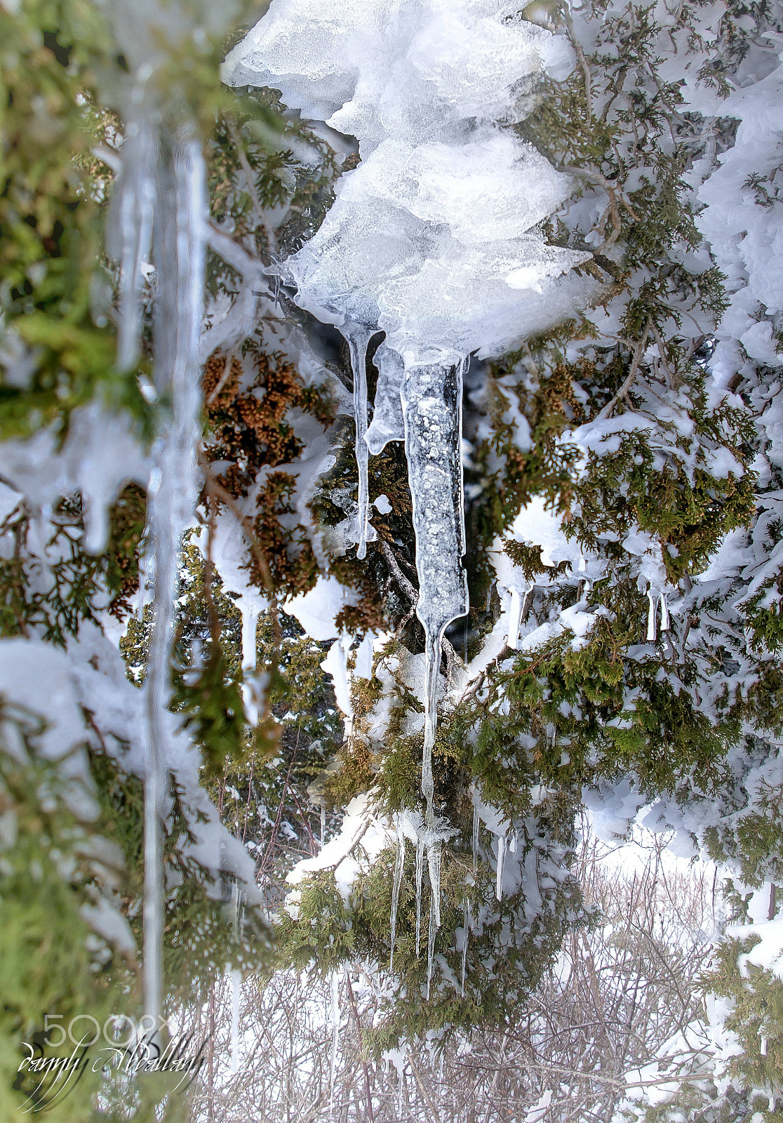 Schneider D-XENON 18-55mm F3.5-5.6 sample photo. Troodos mountains photography