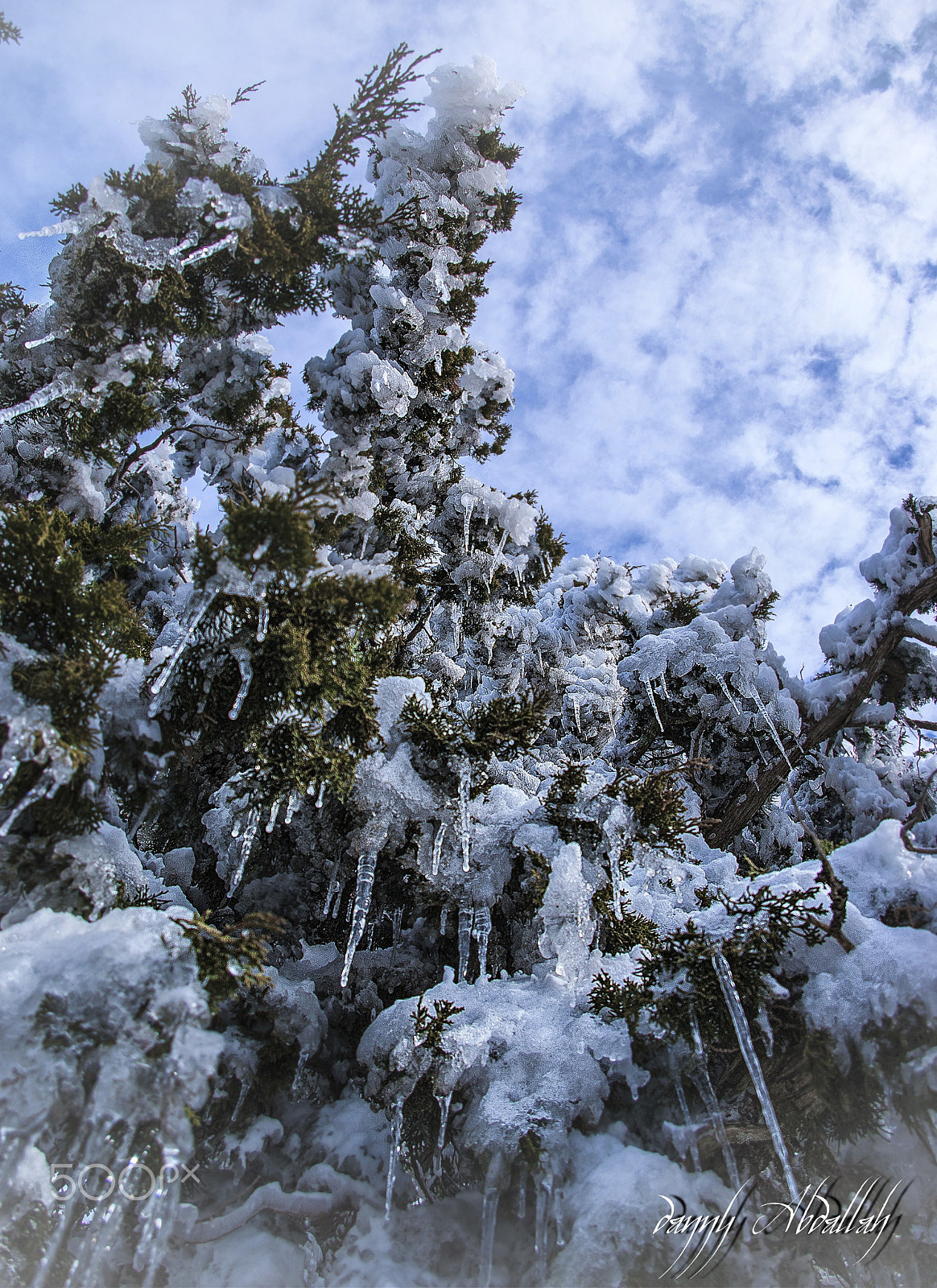 Schneider D-XENON 18-55mm F3.5-5.6 sample photo. Troodos mountains photography