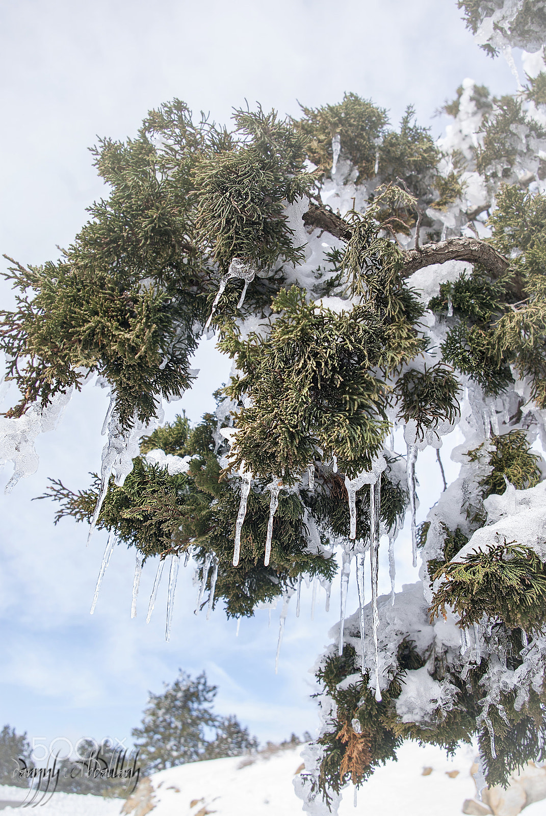 Schneider D-XENON 18-55mm F3.5-5.6 sample photo. Troodos mountains photography