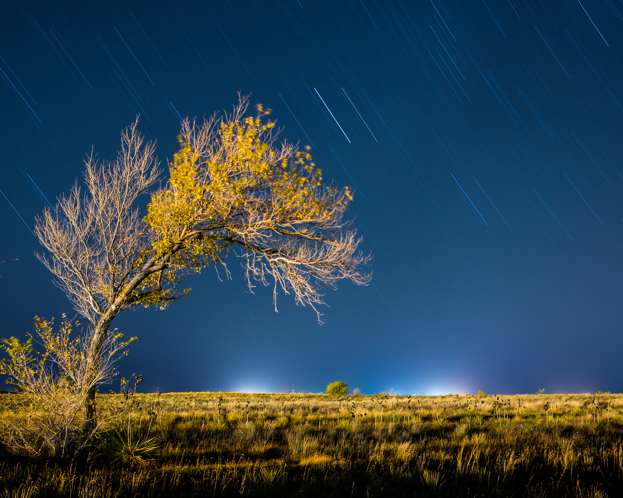 Nikon D600 + Nikon AF-S Nikkor 35mm F1.4G sample photo. Star trails photography