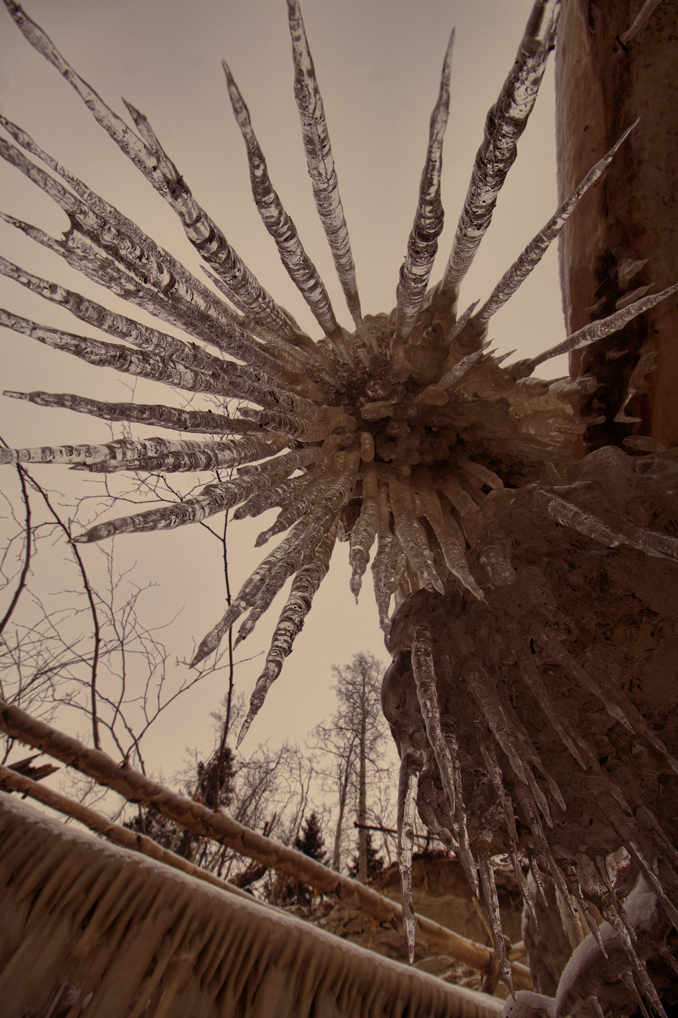 Canon EF-S 10-18mm F4.5–5.6 IS STM sample photo. From below photography