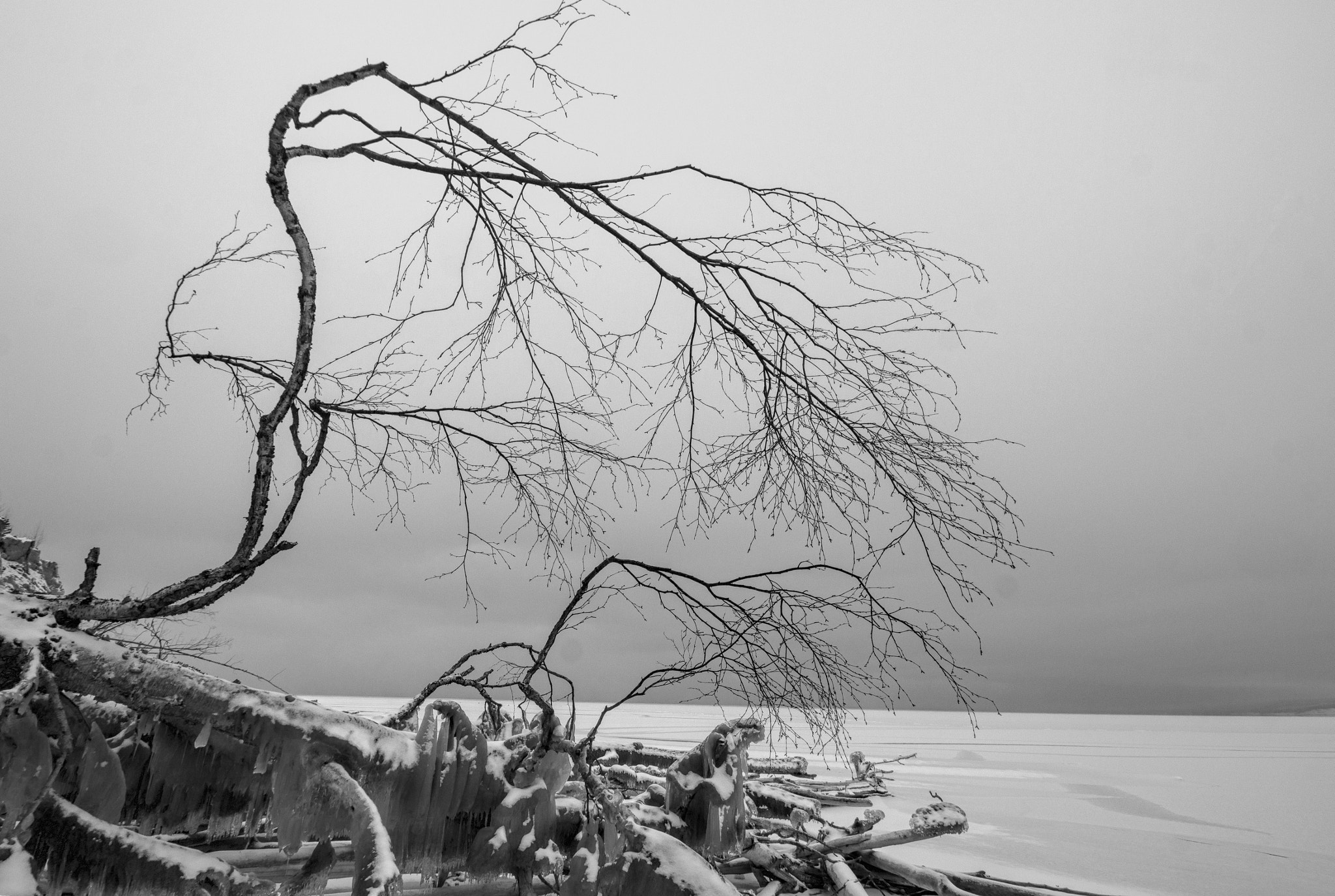 Canon EF-S 10-18mm F4.5–5.6 IS STM sample photo. Wind photography