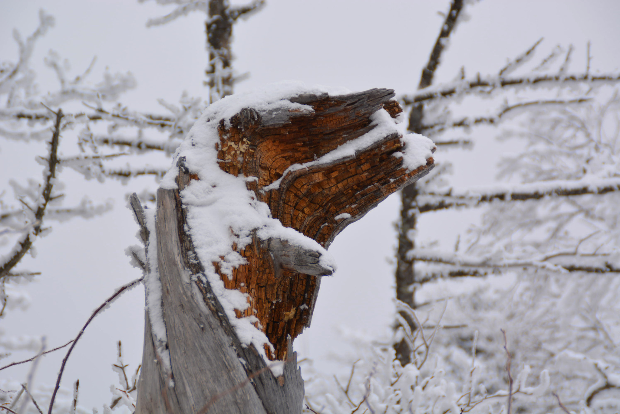 Nikon AF-S Nikkor 70-200mm F4G ED VR sample photo. 덕유산 photography