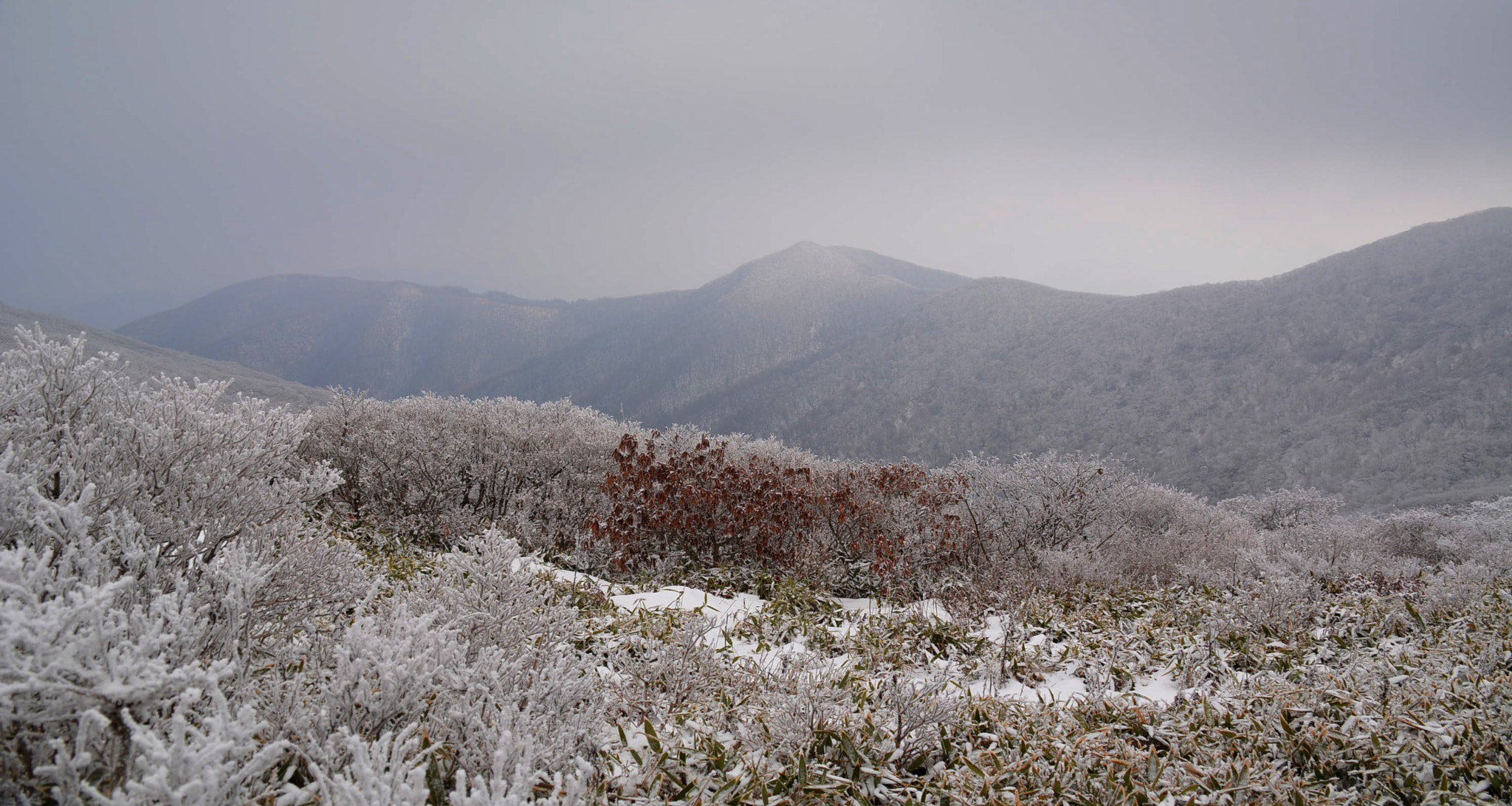 Nikon AF-S Nikkor 28-70mm F2.8 ED-IF sample photo. 덕유산 photography