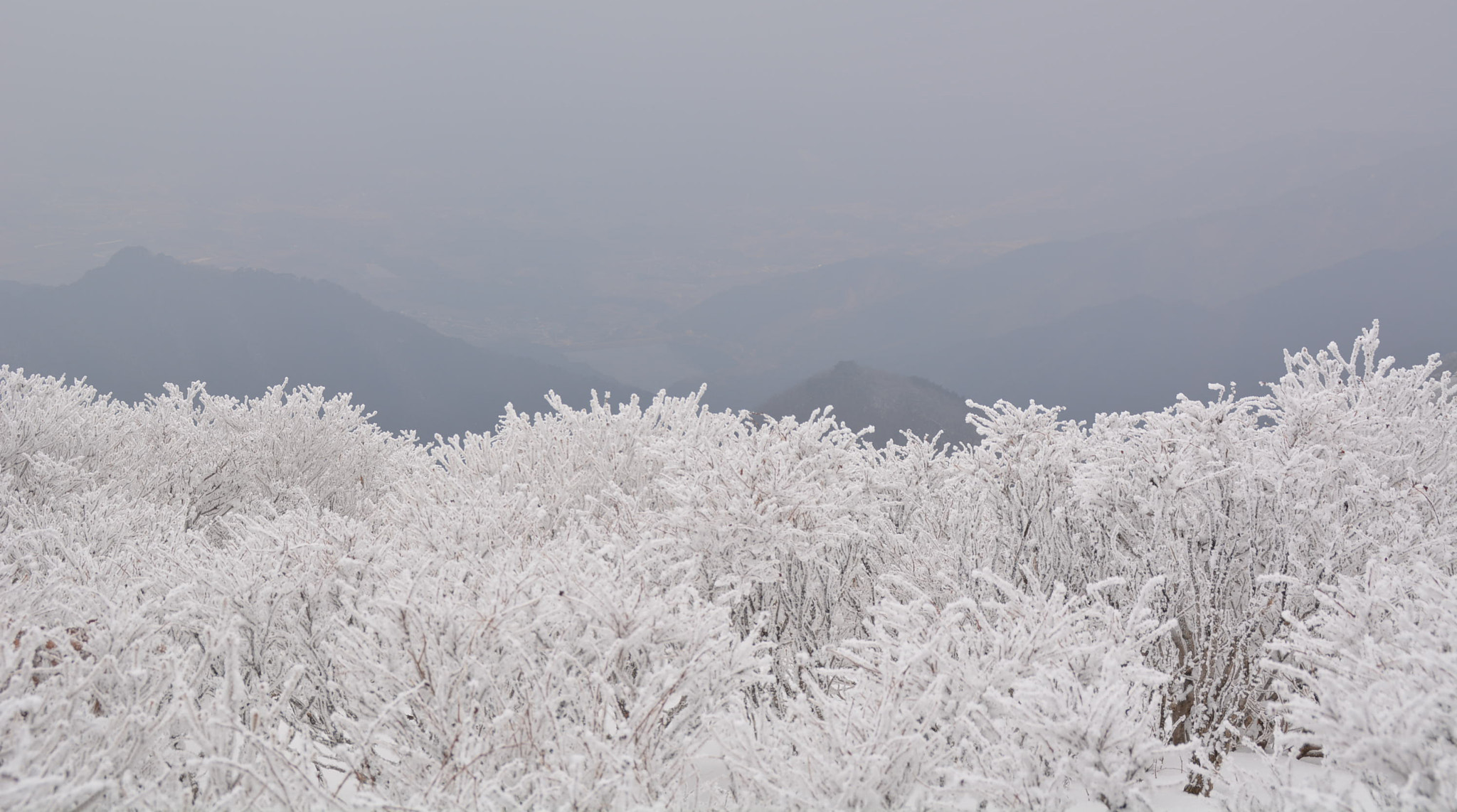 Nikon D5200 + Nikon AF Nikkor 35mm F2D sample photo. 덕유산 photography