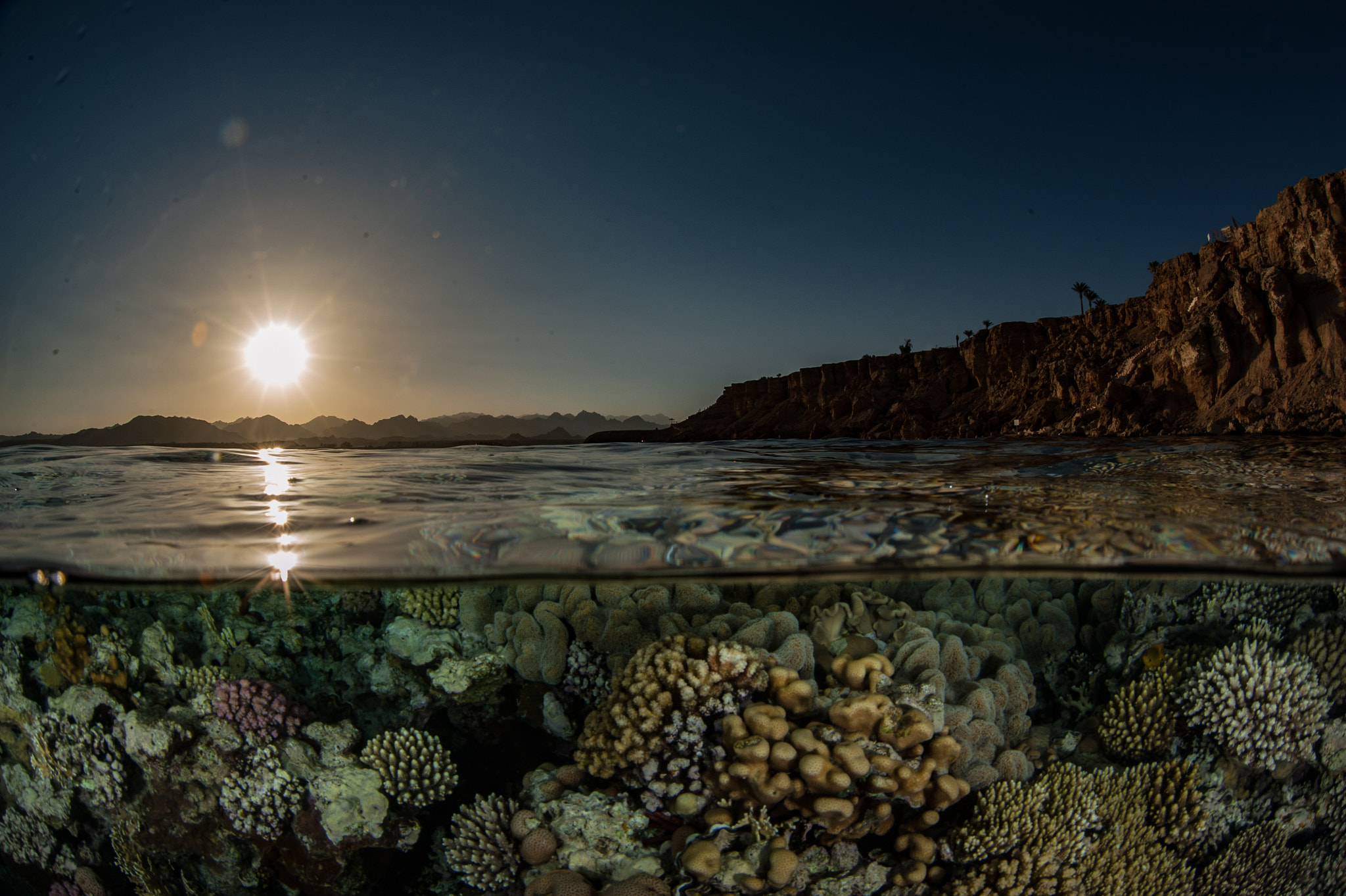 Nikon D700 + Sigma 15mm F2.8 EX DG Diagonal Fisheye sample photo. Split shot in red sea photography