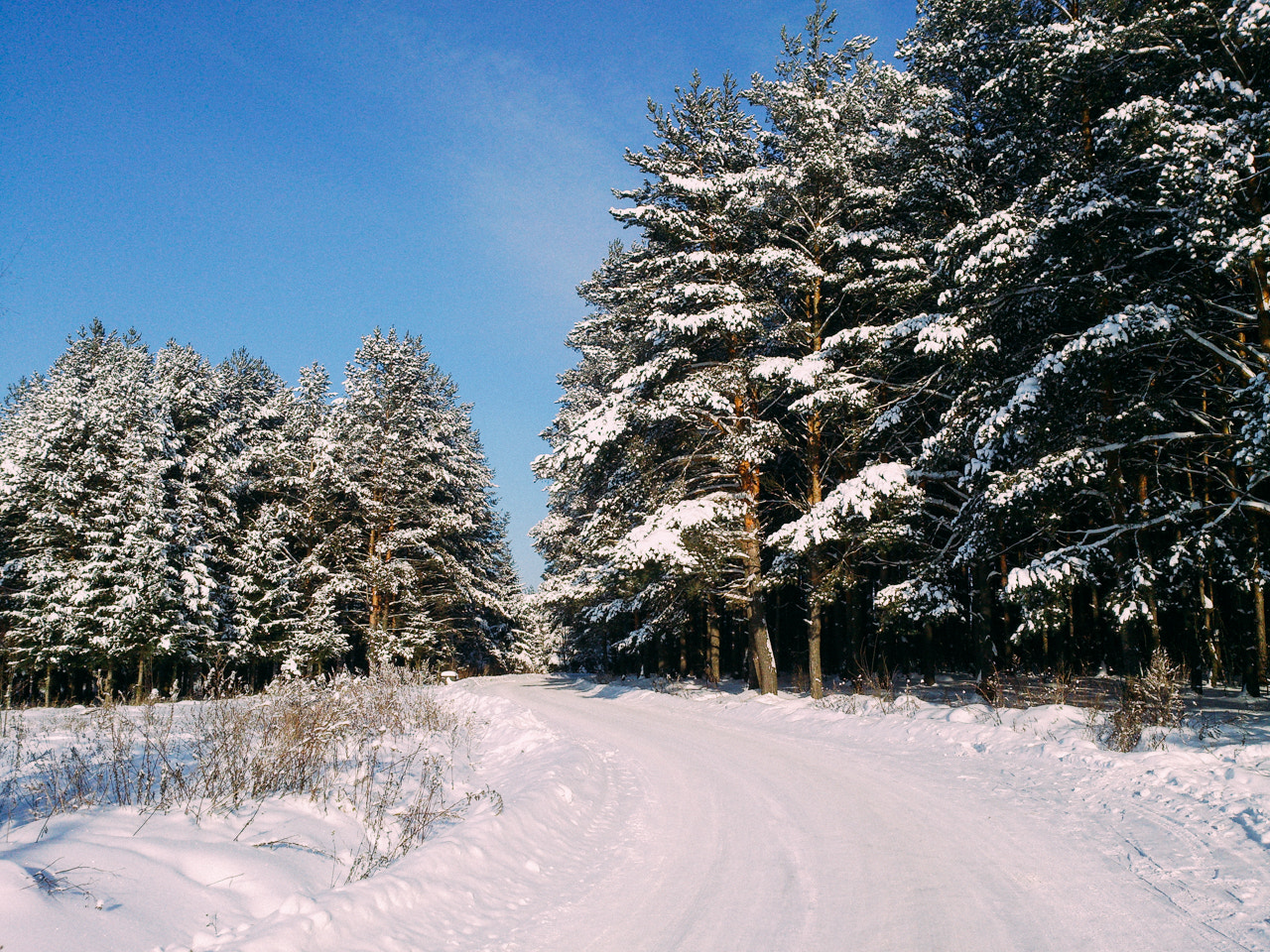 Sony Xperia V sample photo. Winter tale photography