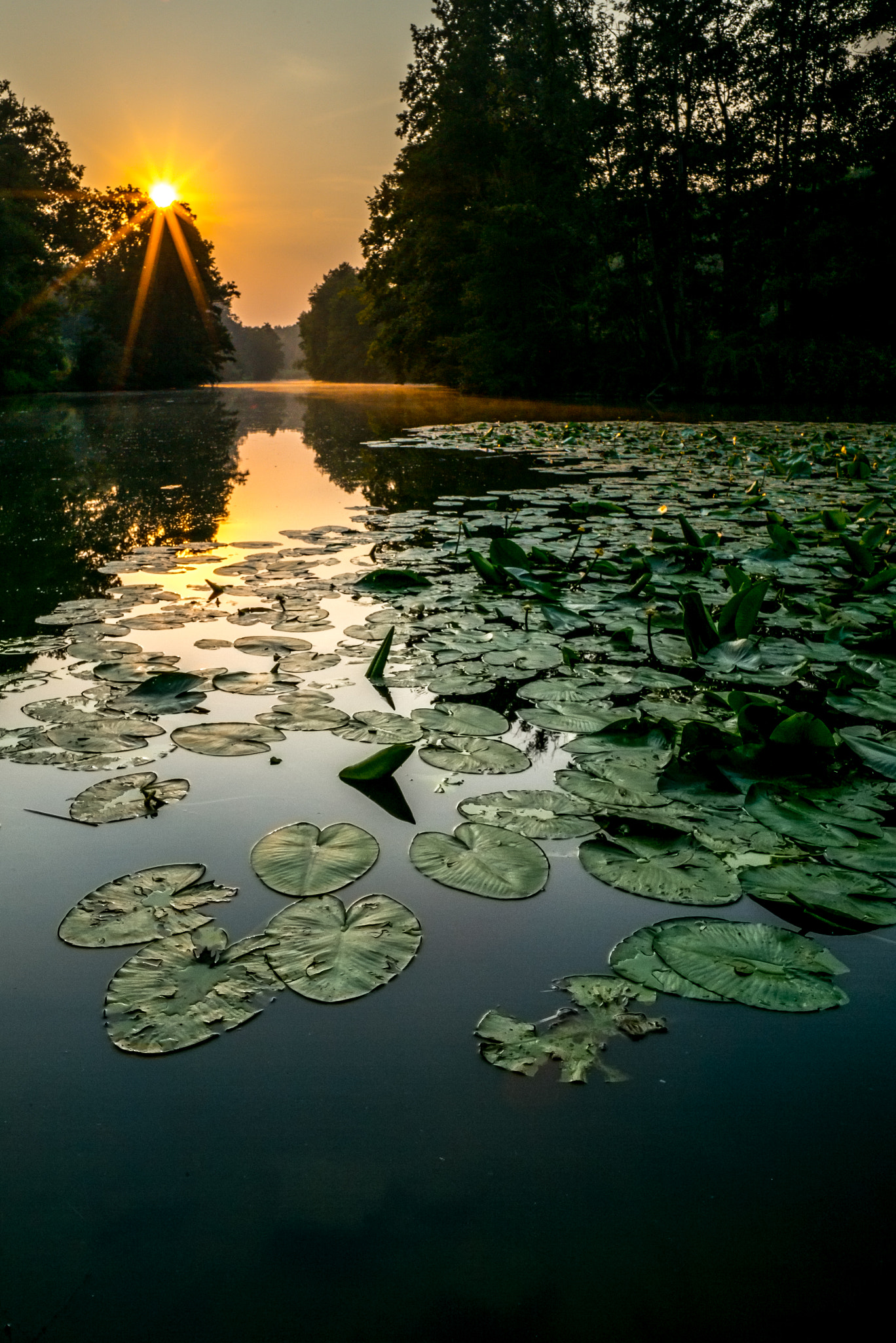 Elmarit-M 1:2.8/21 sample photo. Sunrise photography