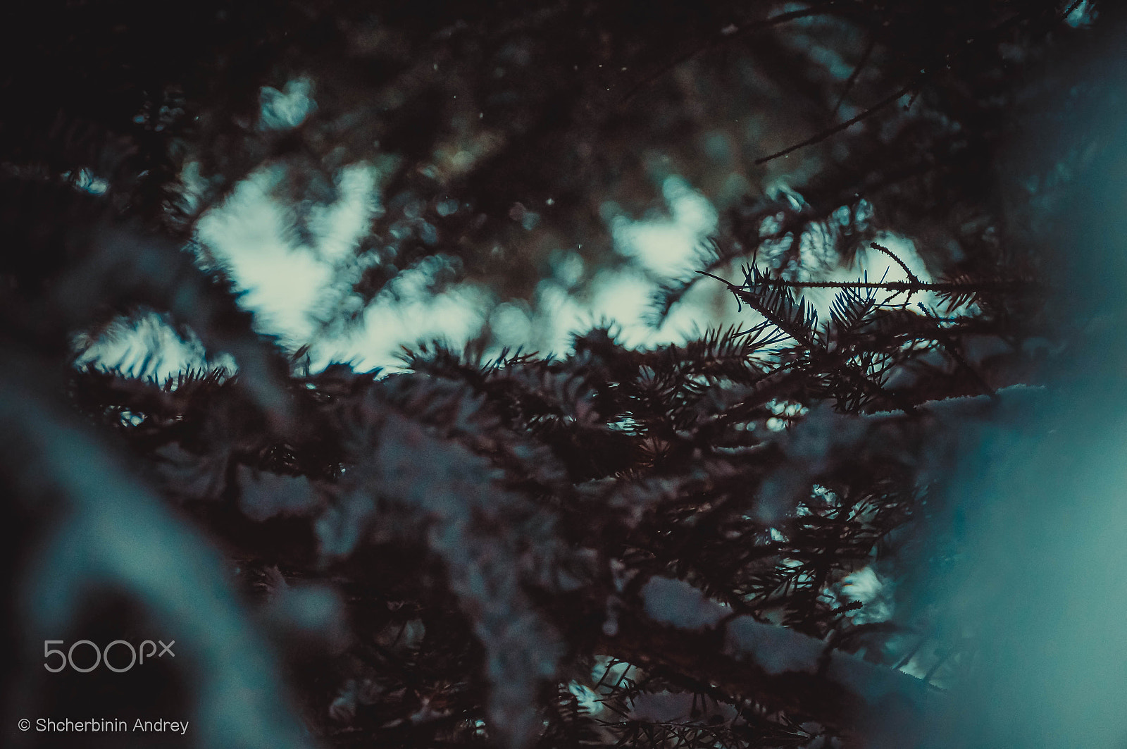 Sony SLT-A37 sample photo. Nook photography