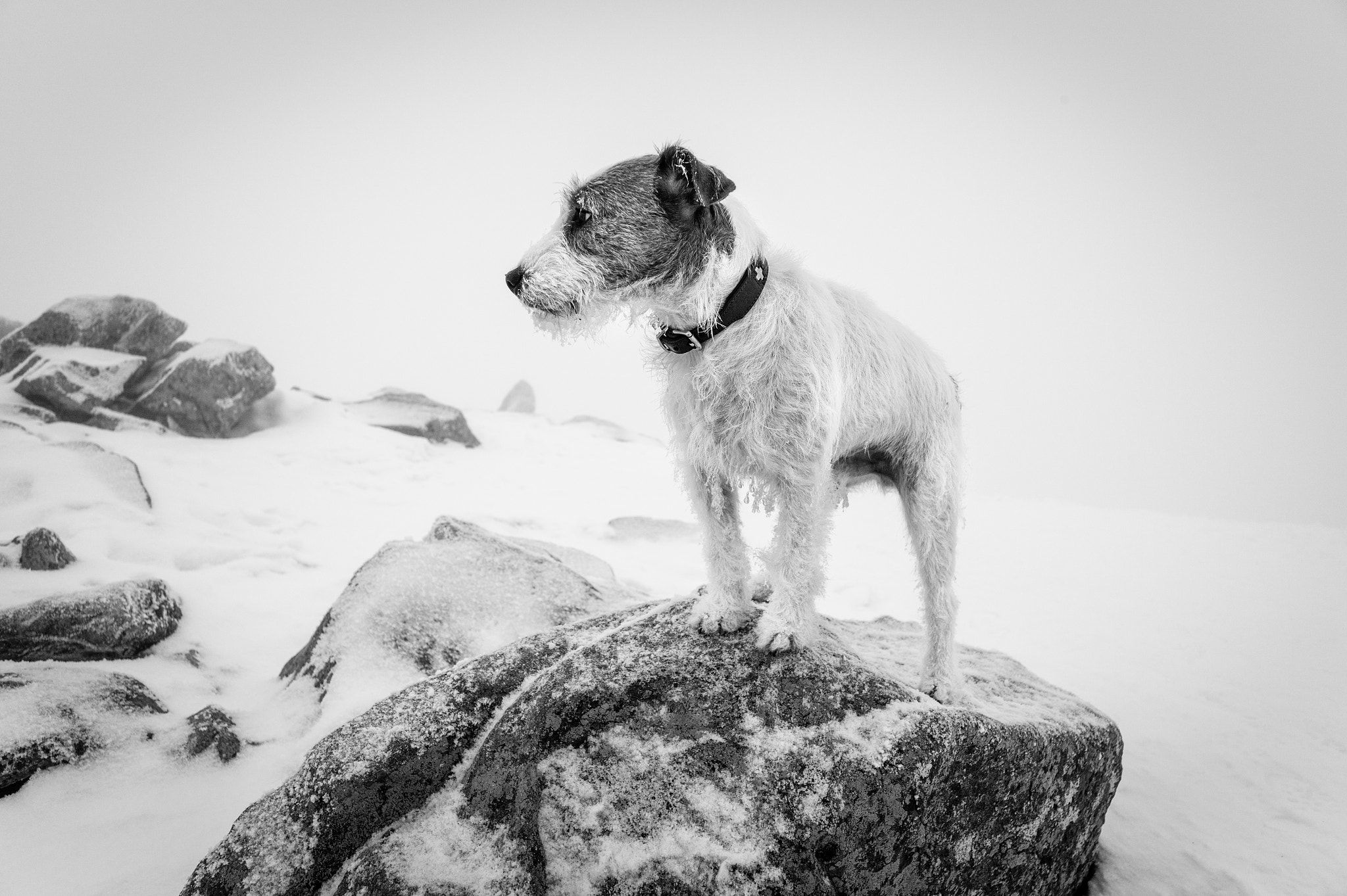Leica M9 + Leica Elmarit-M 21mm F2.8 ASPH sample photo. Merlin the hero photography