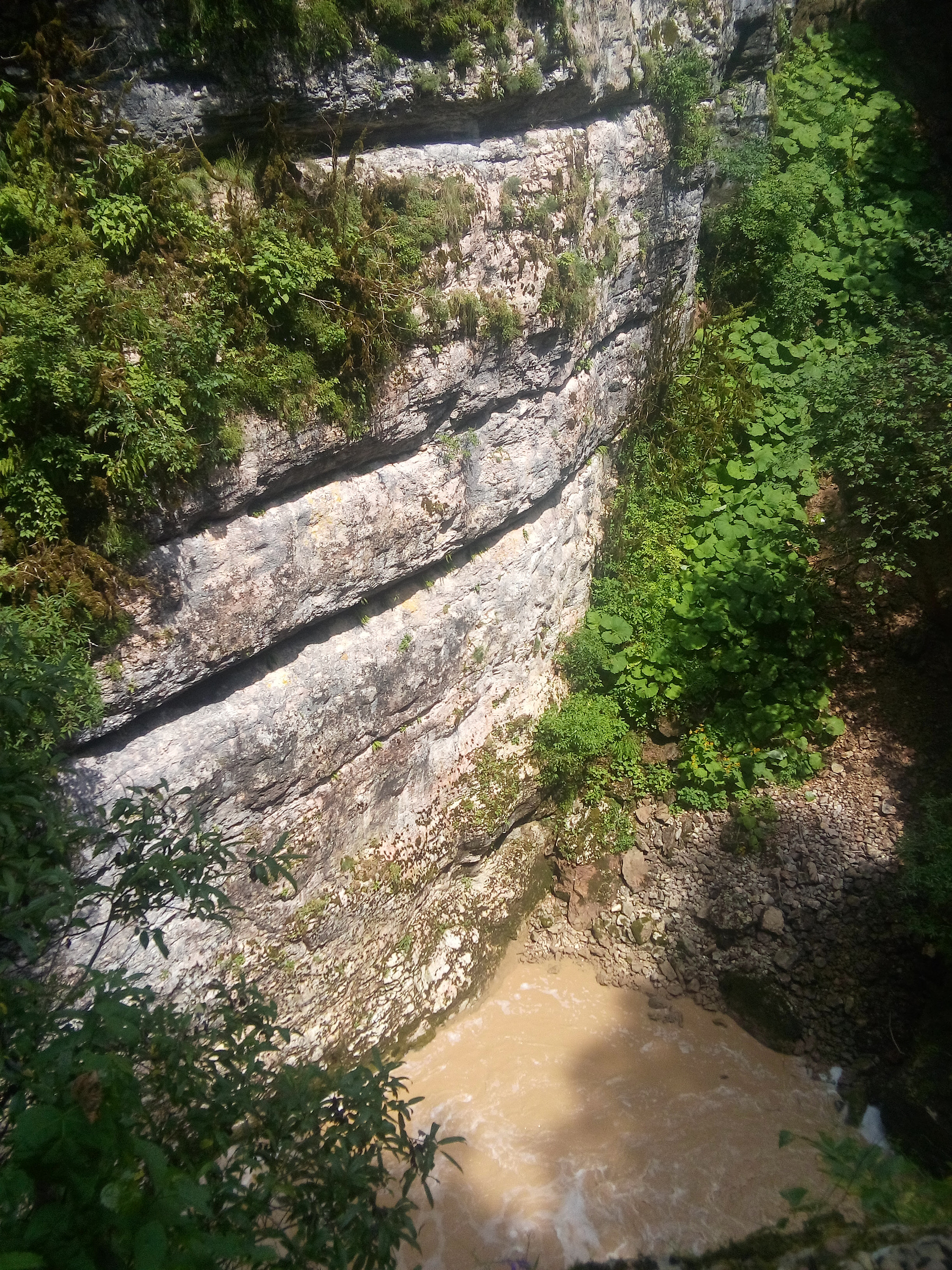LG VOLT sample photo
