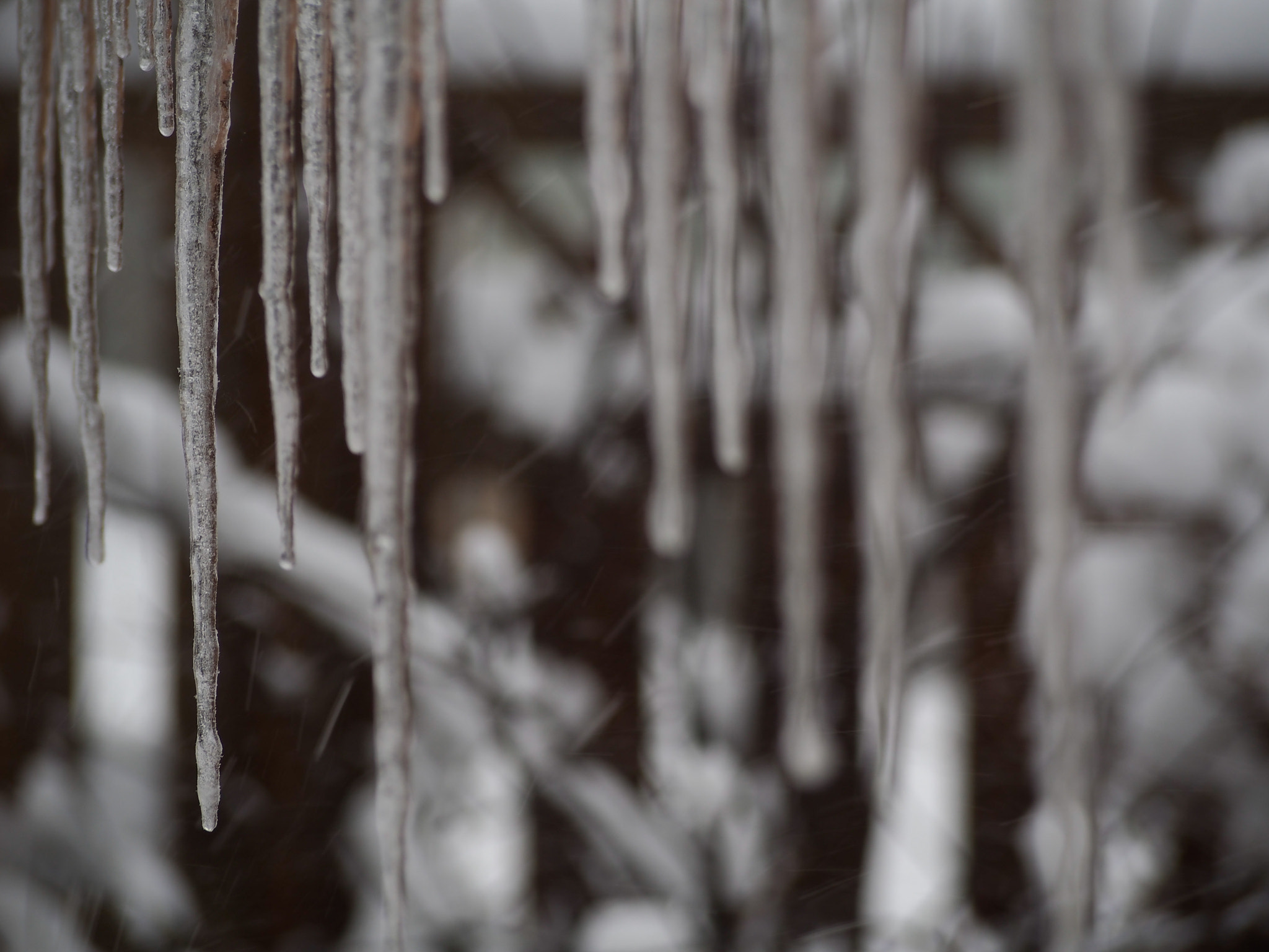 Panasonic Lumix G Vario 45-200mm F4-5.6 OIS sample photo. Abstract icicles photography