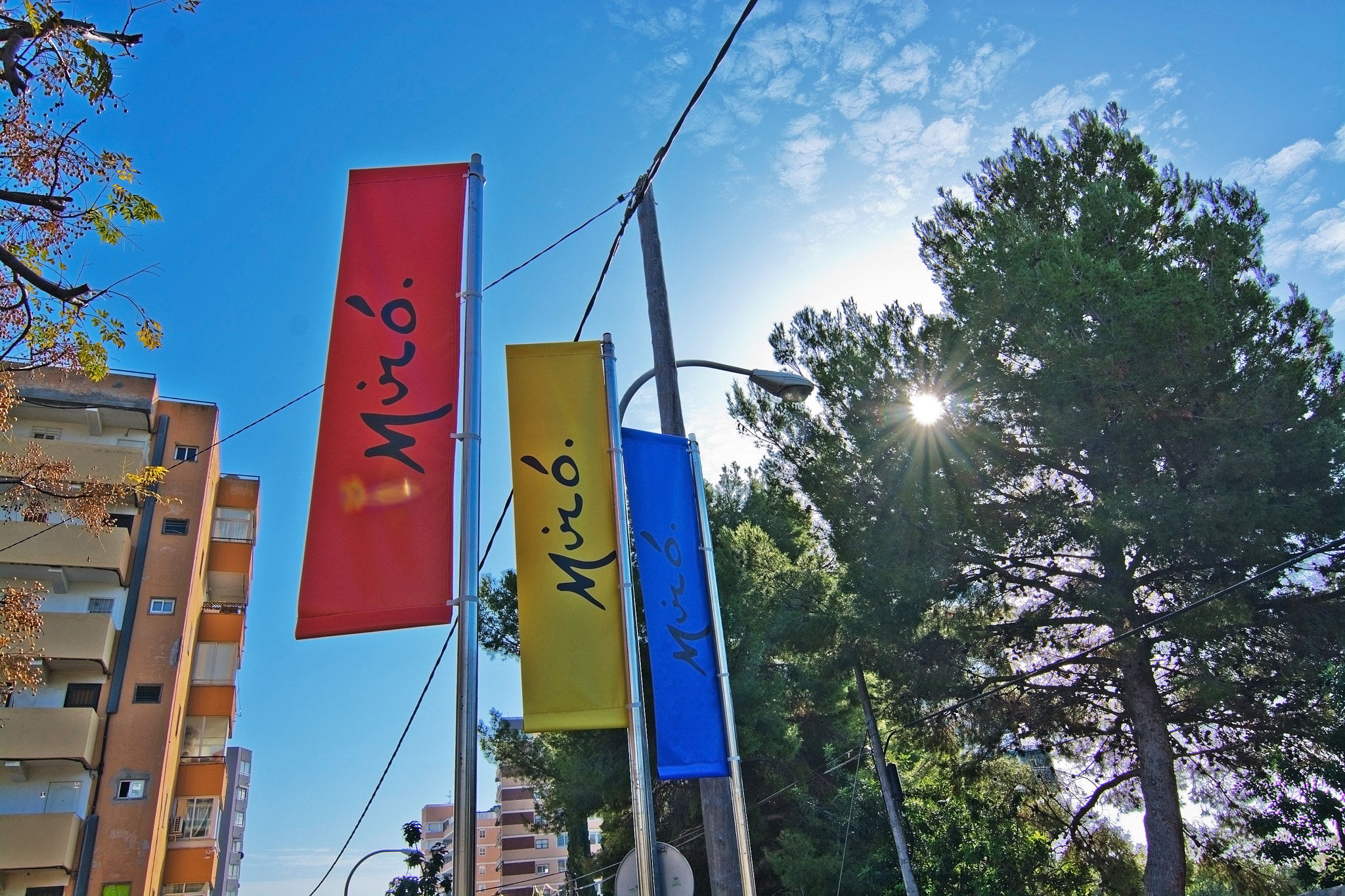 AF Zoom-Nikkor 28-80mm f/3.5-5.6D sample photo. Miro in red yellow and blue photography