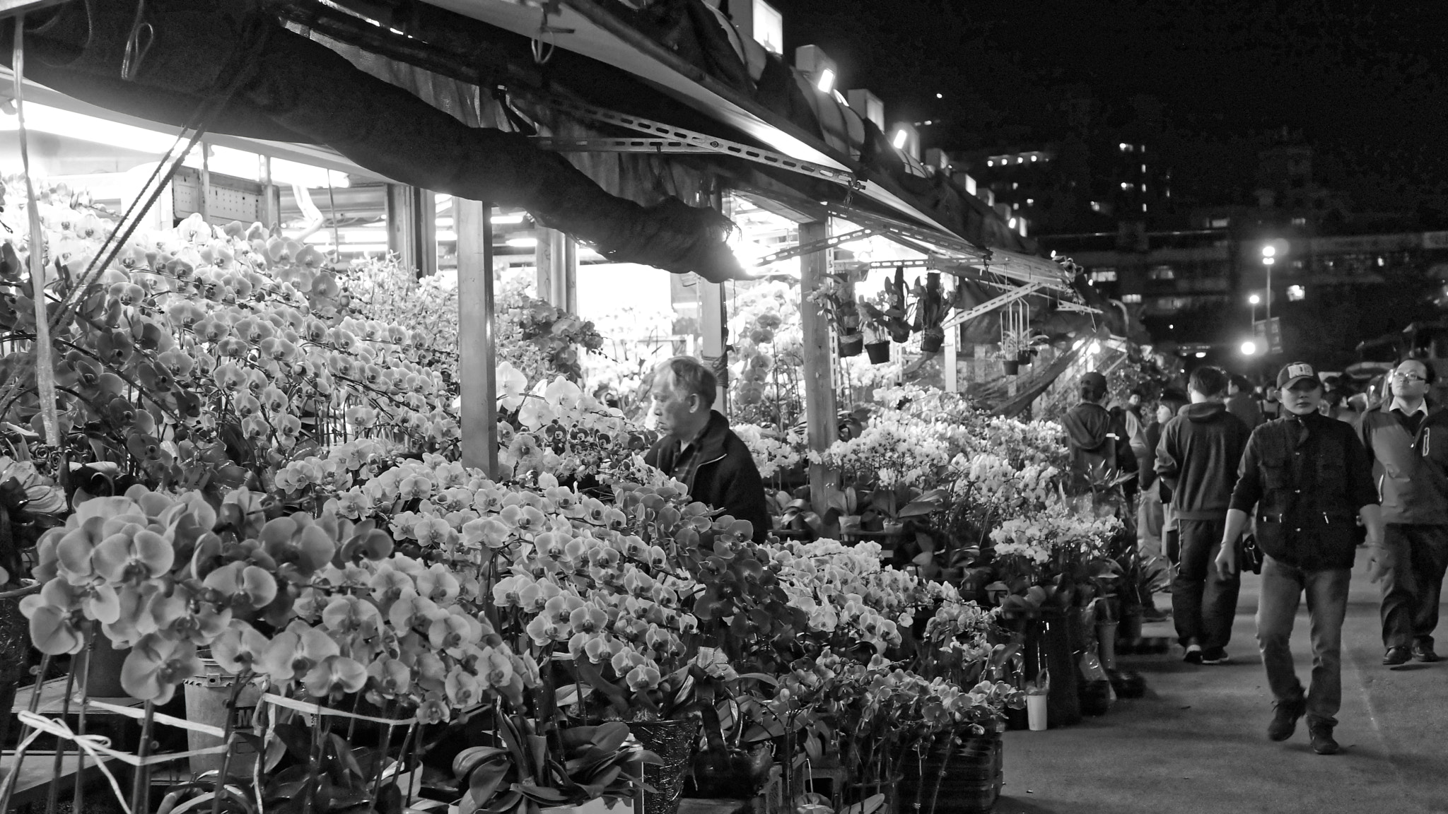 Sony Alpha NEX-7 + Sony E 35mm F1.8 OSS sample photo. Taipei flower market photography