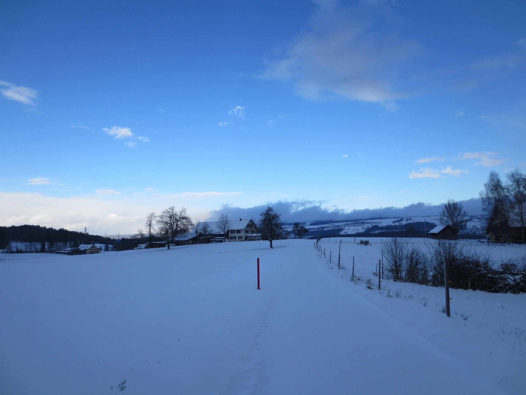 Canon PowerShot ELPH 110HS (PowerShot IXUS 125 HS) sample photo. Home photography