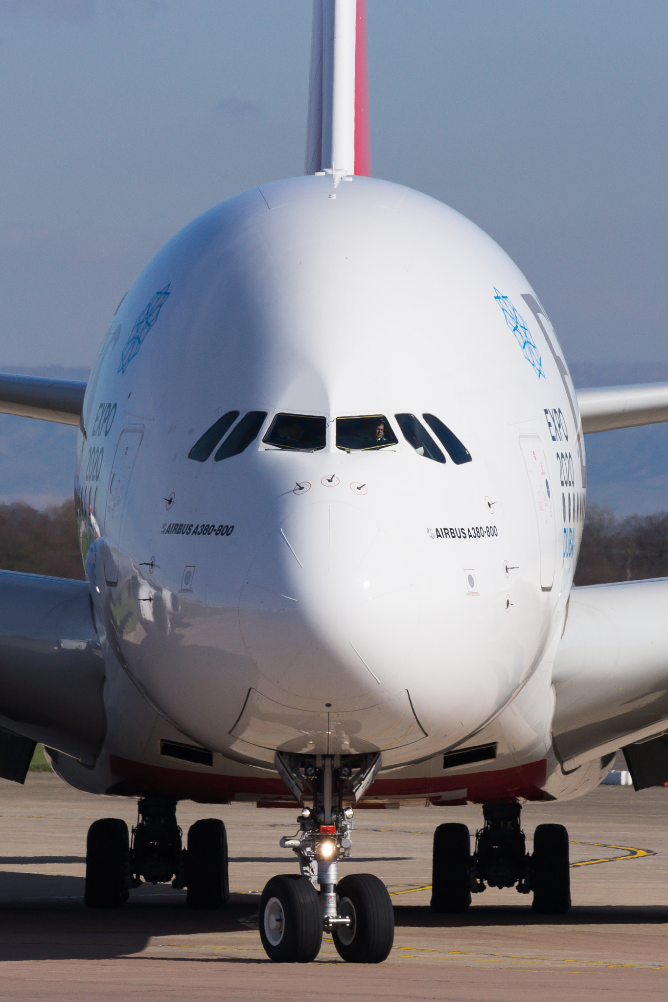 Sony 70-300mm F4.5-5.6 G SSM sample photo. A380 face on photography