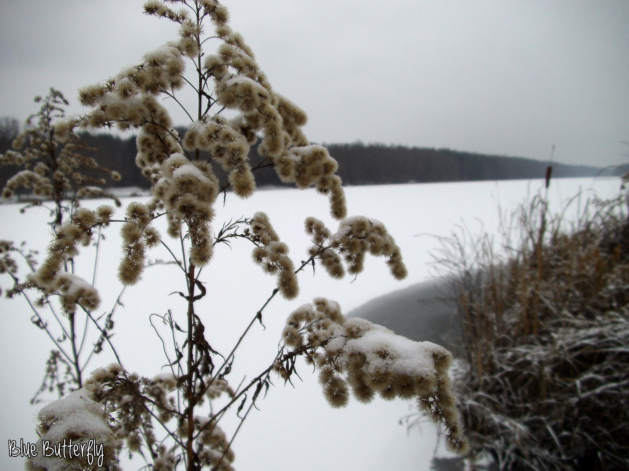 Tevion SZ 8 sample photo. Snow & lake photography