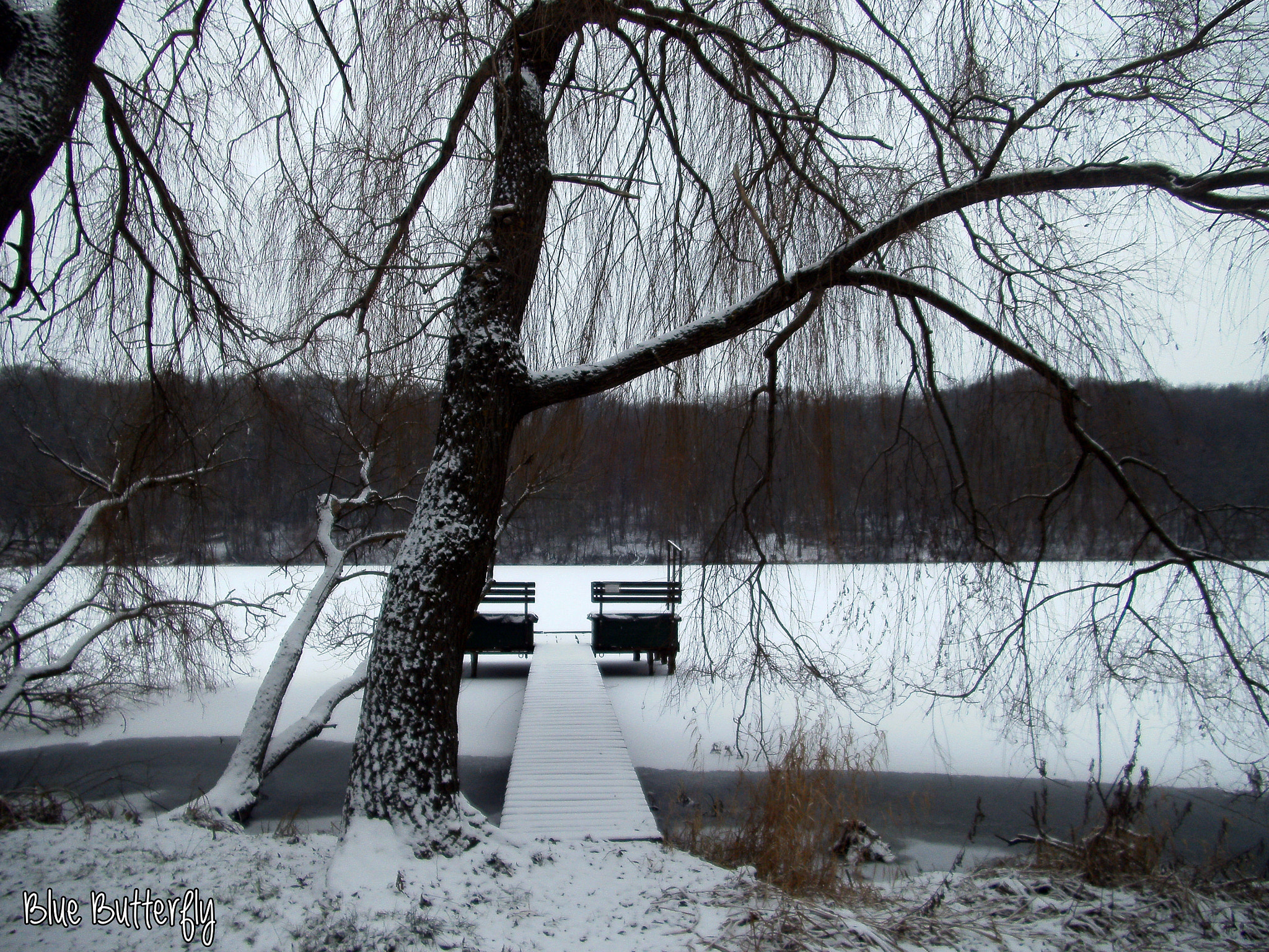 Tevion SZ 8 sample photo. Winter photography