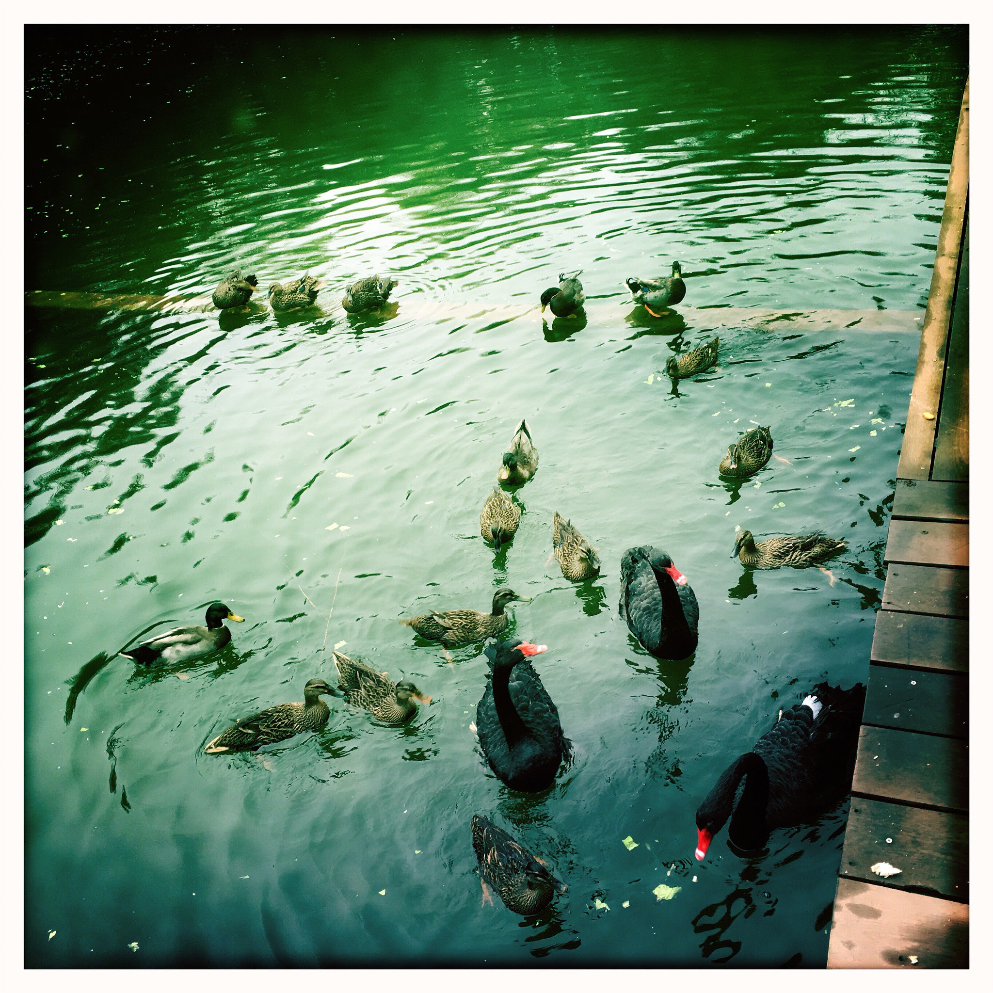 Hipstamatic 304 sample photo
