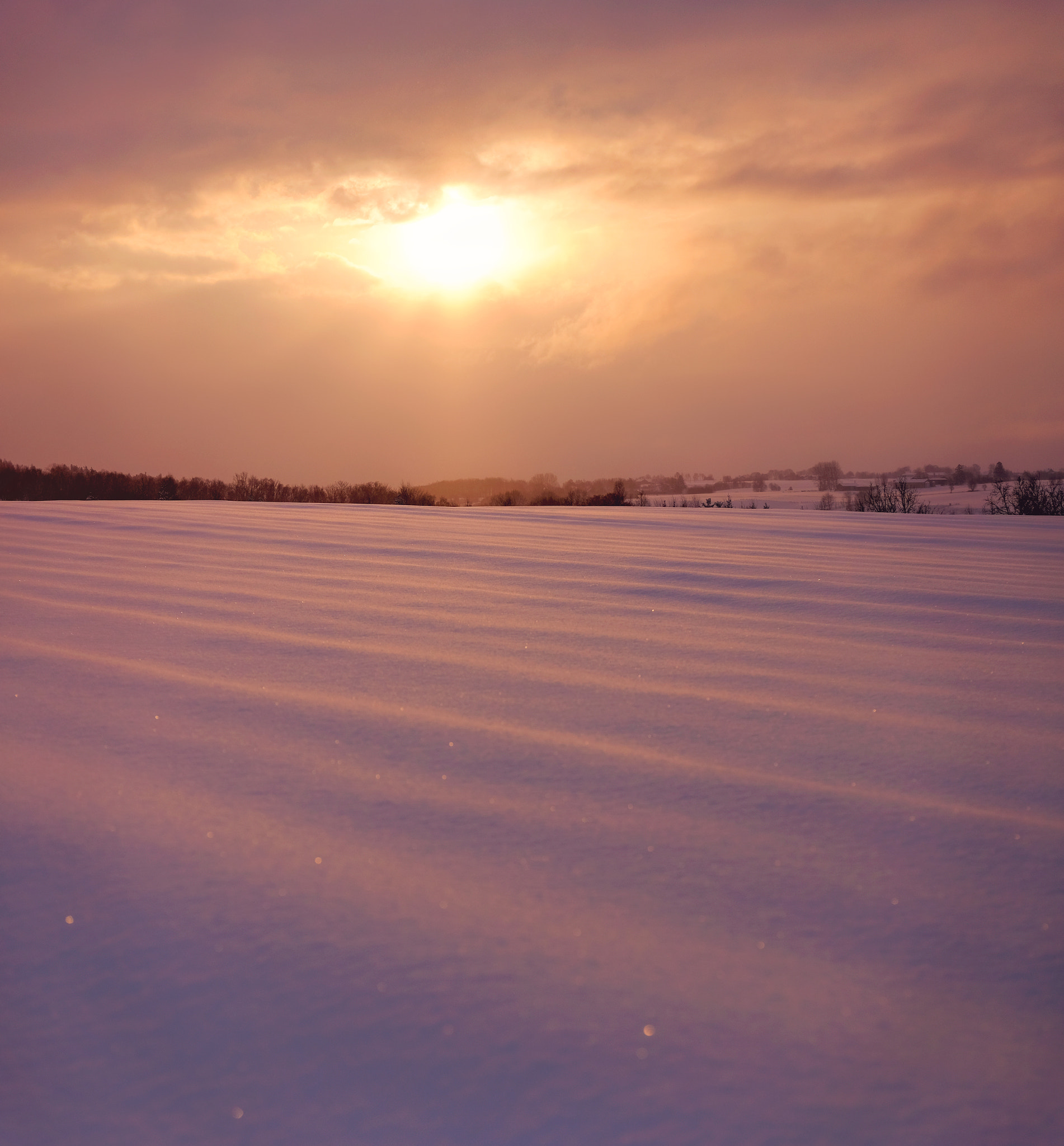 Fujifilm X-T10 + ZEISS Touit 50mm F2.8 sample photo. Fields of snow. photography