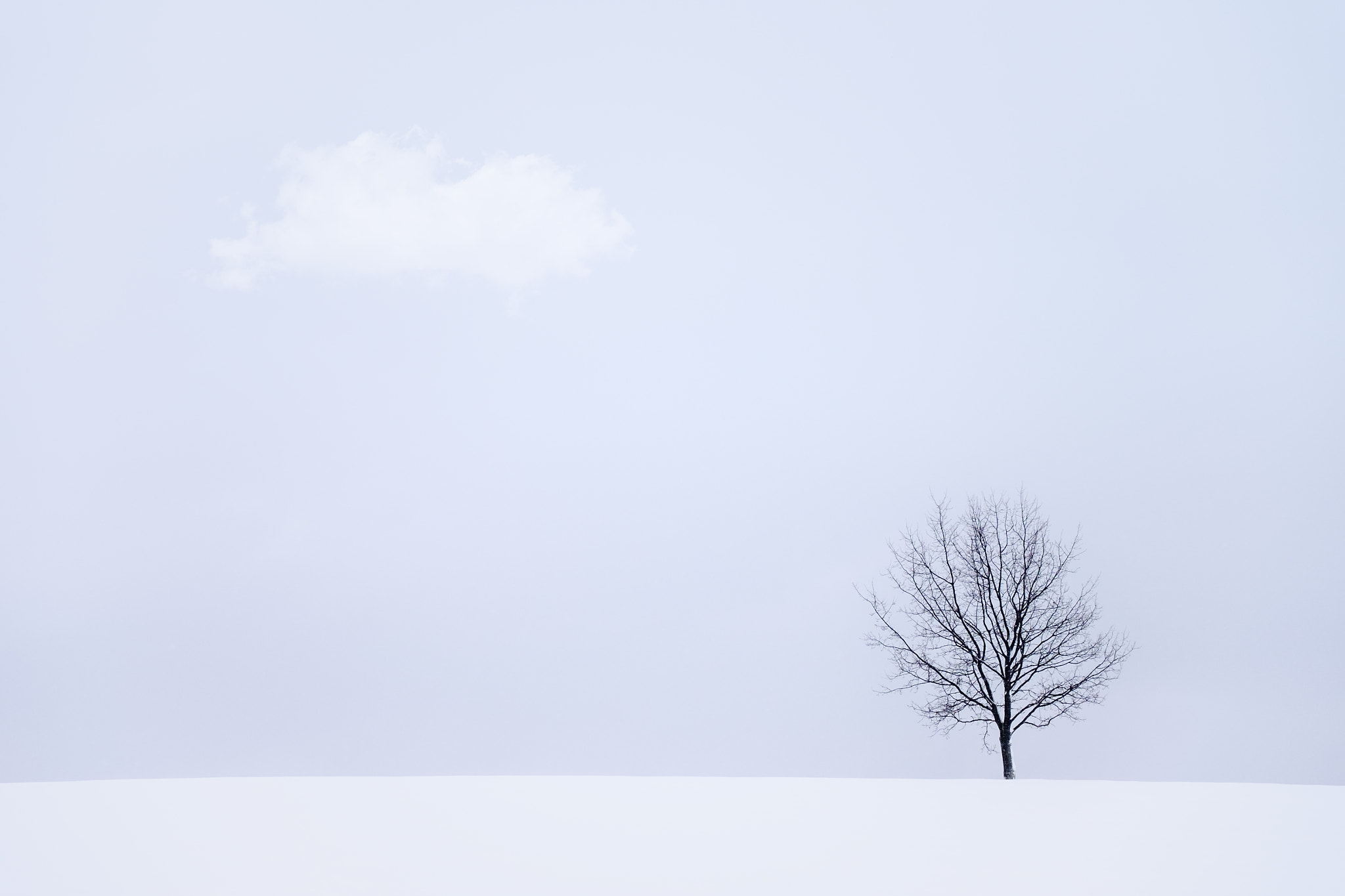 Fujifilm X-T10 + ZEISS Touit 50mm F2.8 sample photo. Loneliness. photography