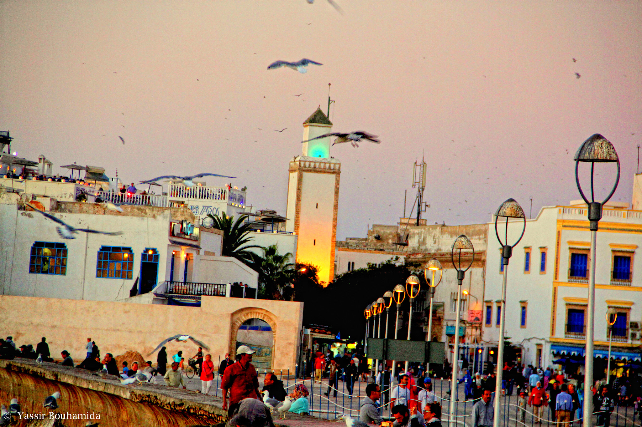 Canon EOS 500D (EOS Rebel T1i / EOS Kiss X3) sample photo. ©  yassir bouhamida photography
