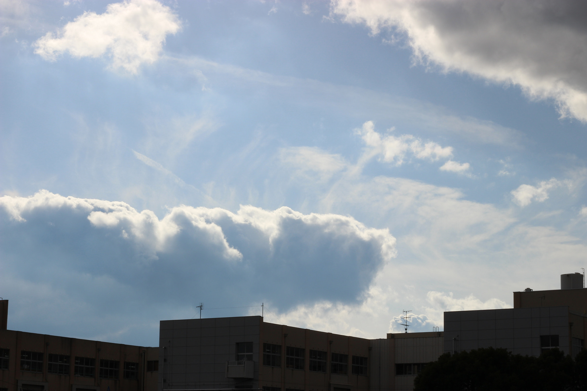 Canon EOS 100D (EOS Rebel SL1 / EOS Kiss X7) sample photo. Winter blue sky photography