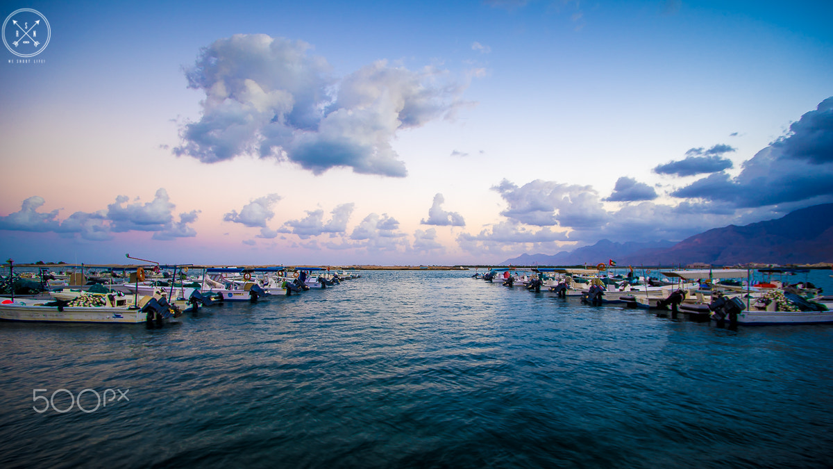 Sony a7 + Minolta AF 17-35mm F2.8-4 (D) sample photo. Early morning light photography