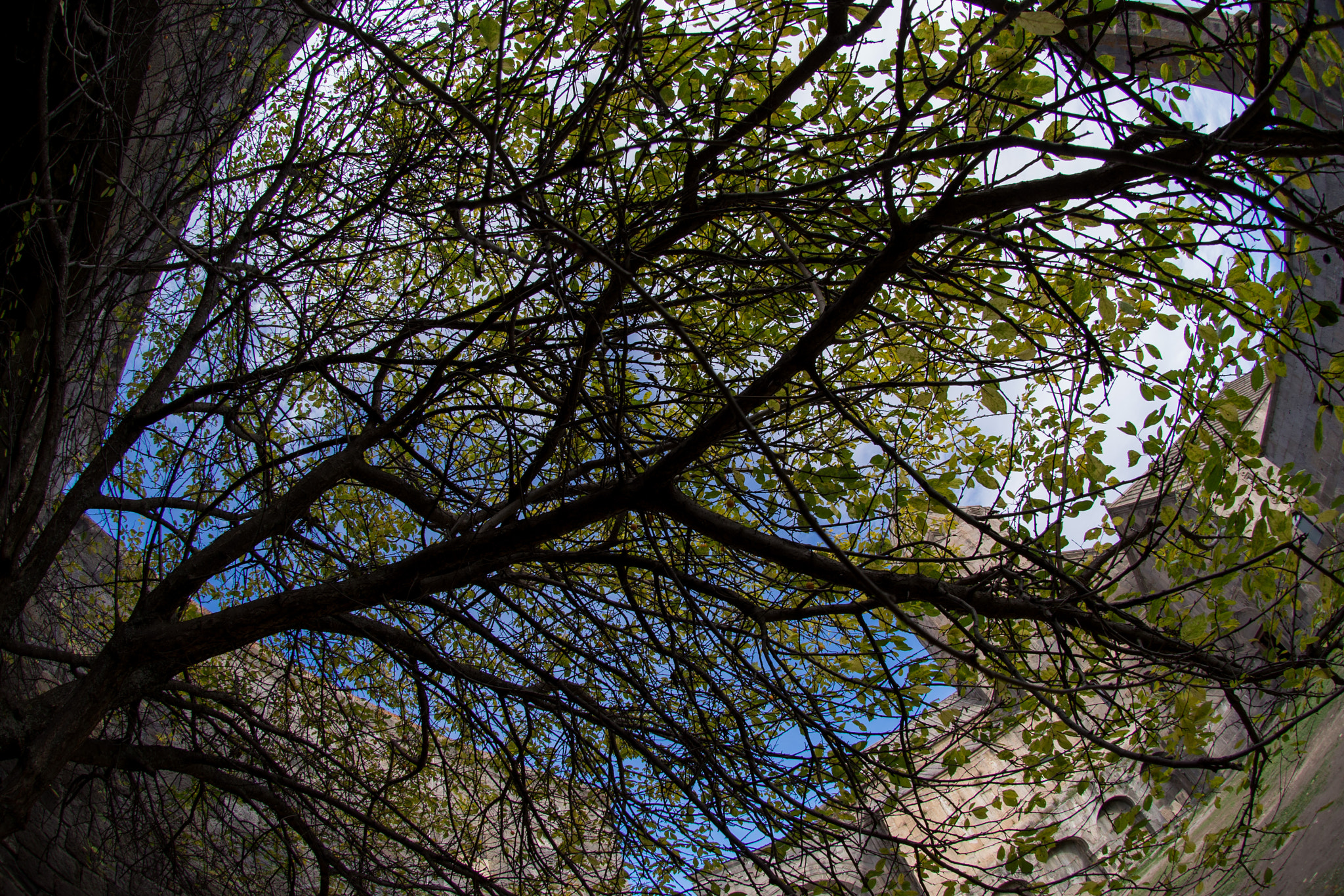 Nikon AF DX Fisheye-Nikkor 10.5mm F2.8G ED sample photo. Армения. Татев photography