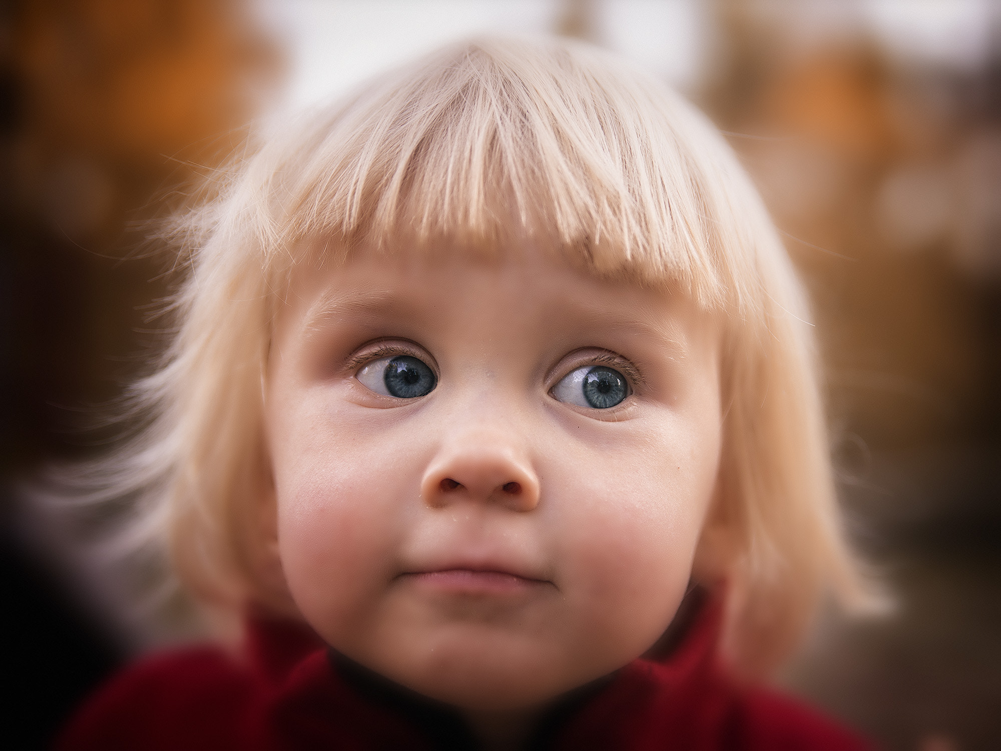 Sony SLT-A99V sample photo. Autumn portrait photography