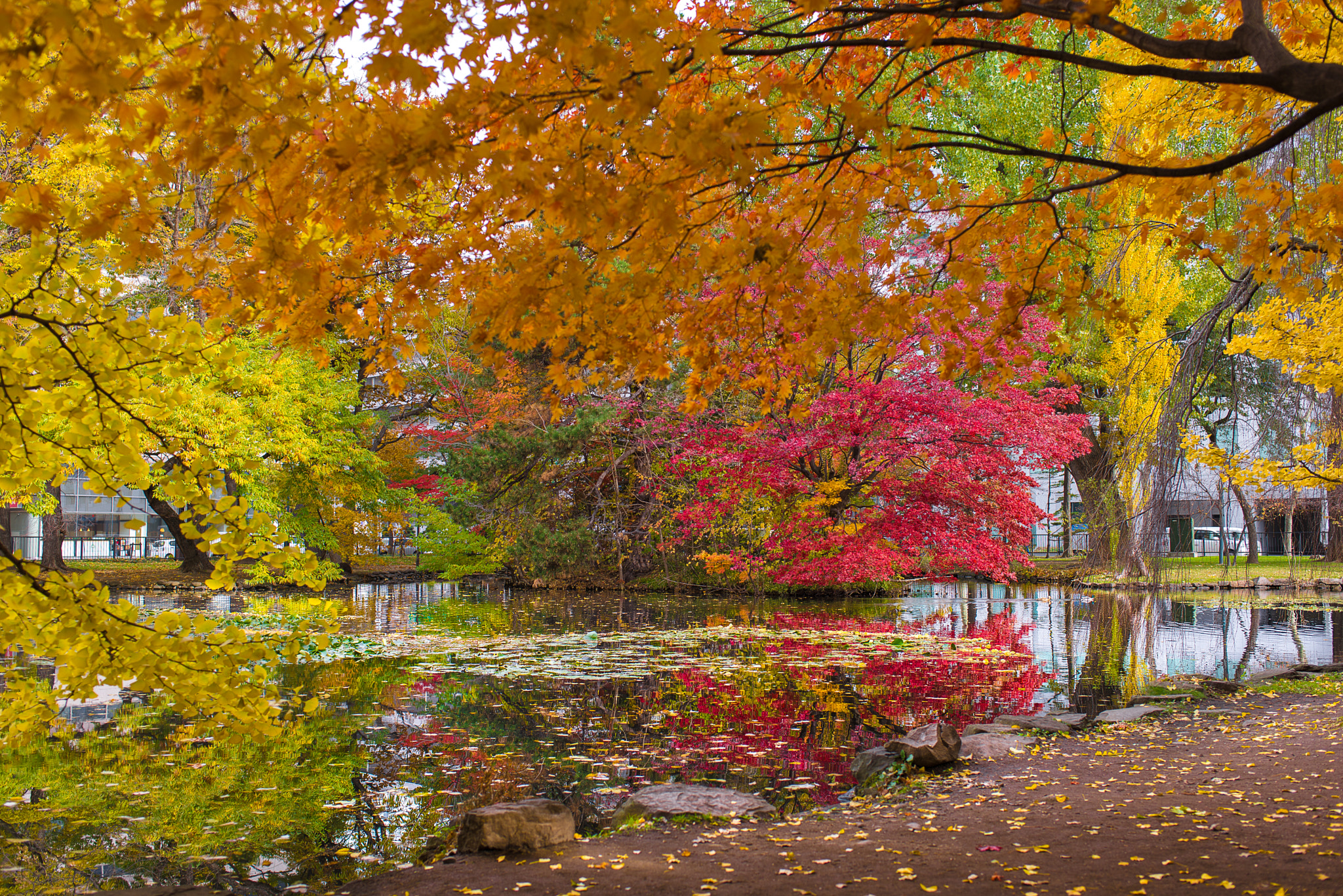 Nikon D600 + AF-S Nikkor 35mm f/1.8G sample photo. Beautiful reflection photography