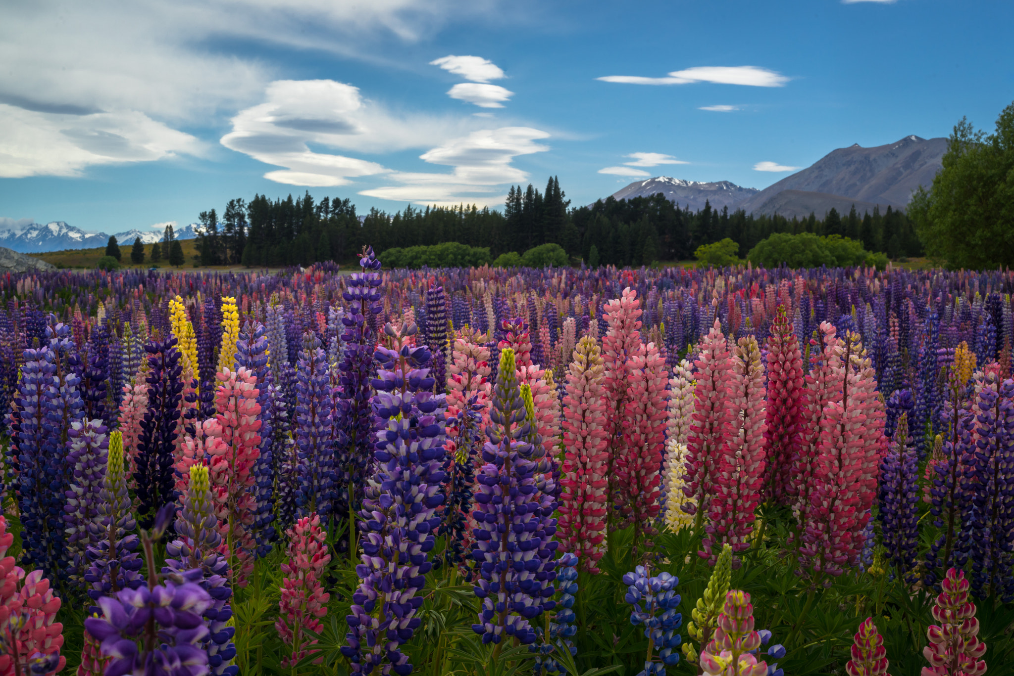 Sony a7R + E 50mm F2 sample photo. Lake tekapo colours photography