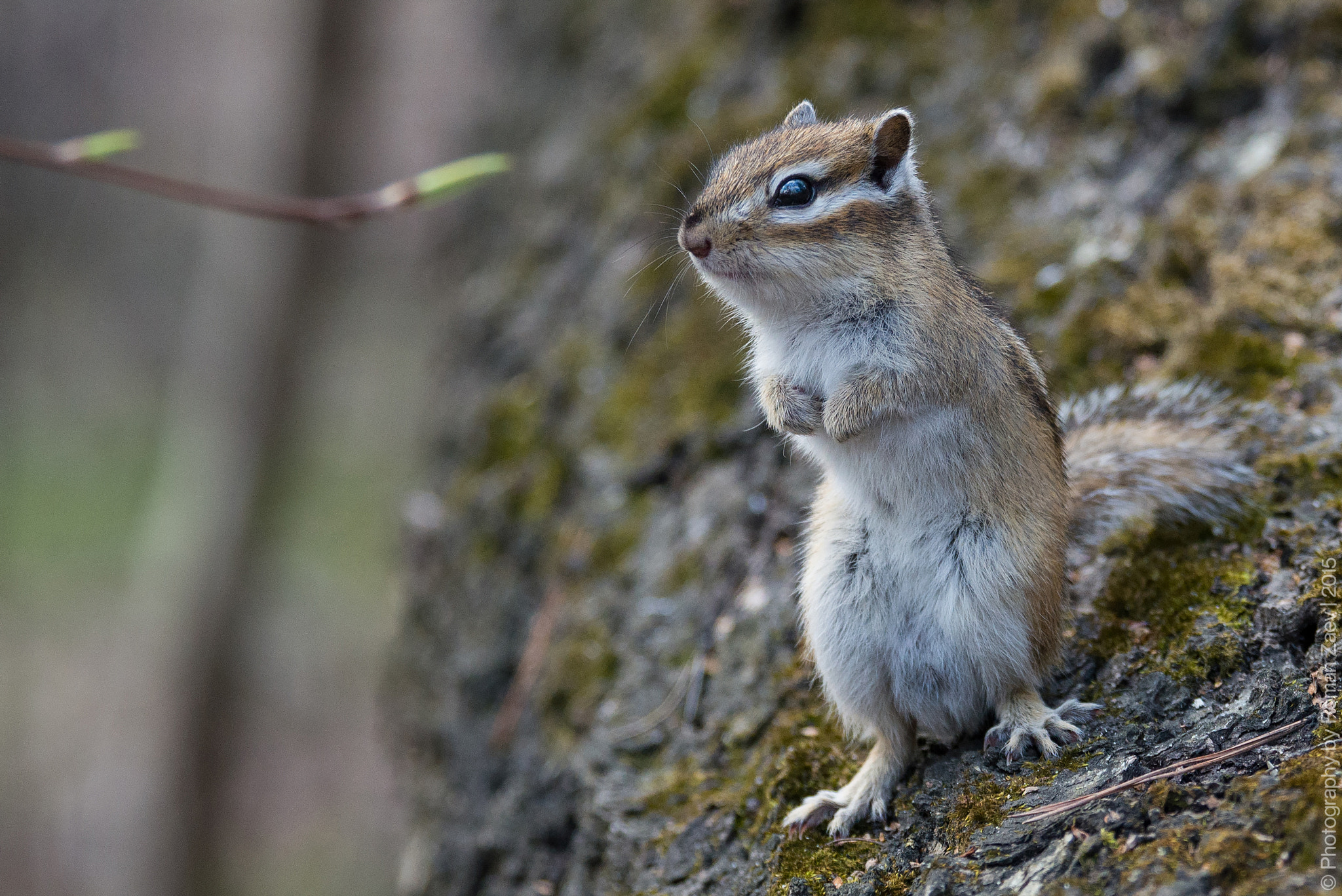 Nikon D600 sample photo. Expecting a miracle photography