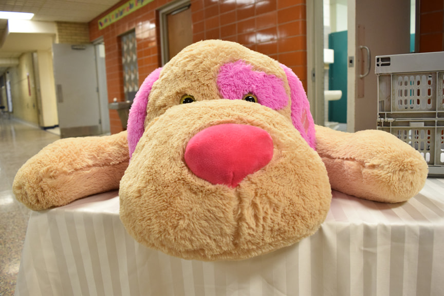 AF Zoom-Nikkor 35-105mm f/3.5-4.5 sample photo. Web photography