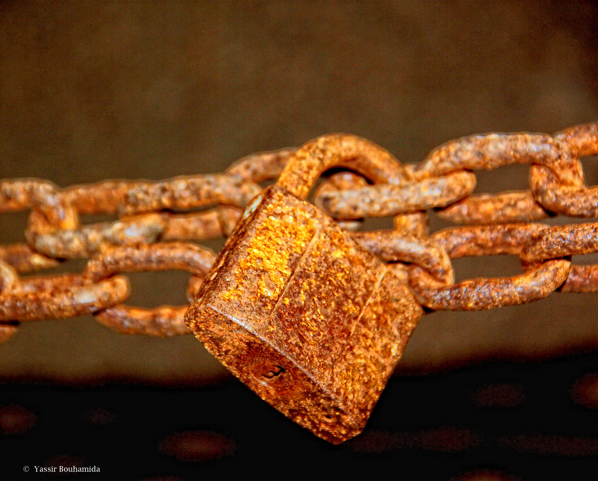Canon EOS 500D (EOS Rebel T1i / EOS Kiss X3) sample photo. ©  yassir bouhamida photography