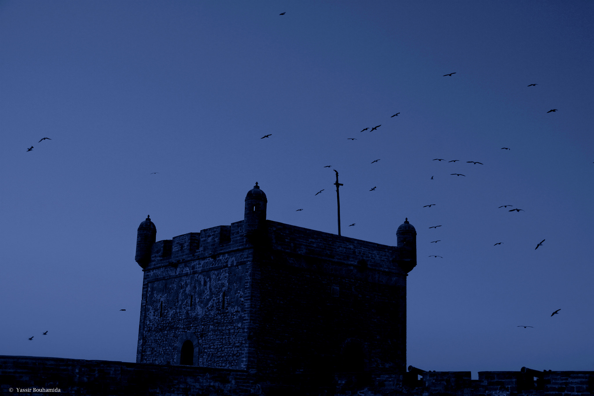 Canon EOS 500D (EOS Rebel T1i / EOS Kiss X3) sample photo. ©  yassir bouhamida photography