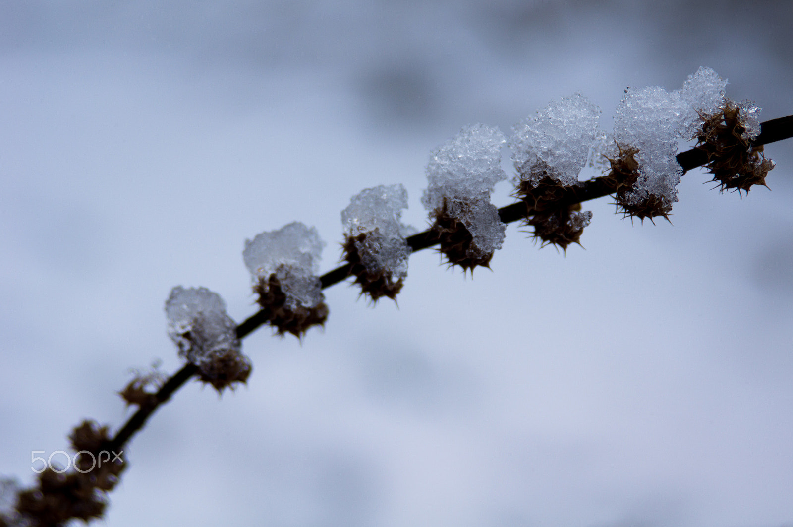 Minolta/Sony AF 24-105mm F3.5-4.5 (D) sample photo. Winter jewelery photography