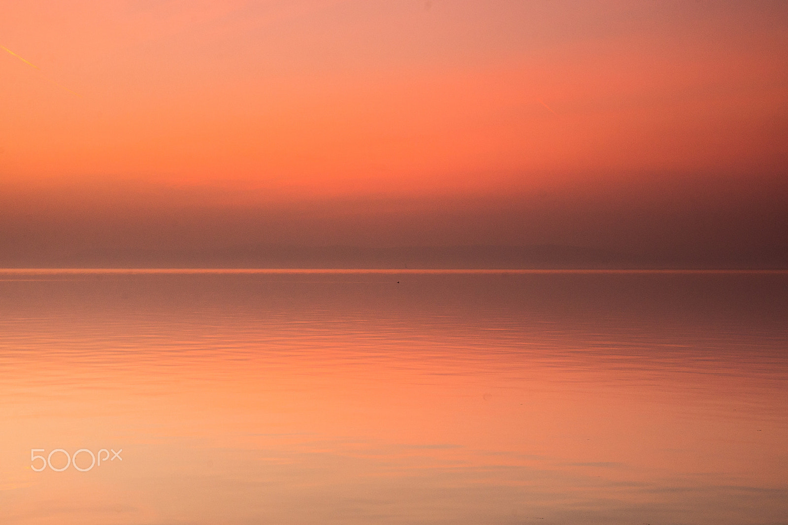 Sigma 17-50mm F2.8 EX DC OS HSM sample photo. Almost the life of pi photography
